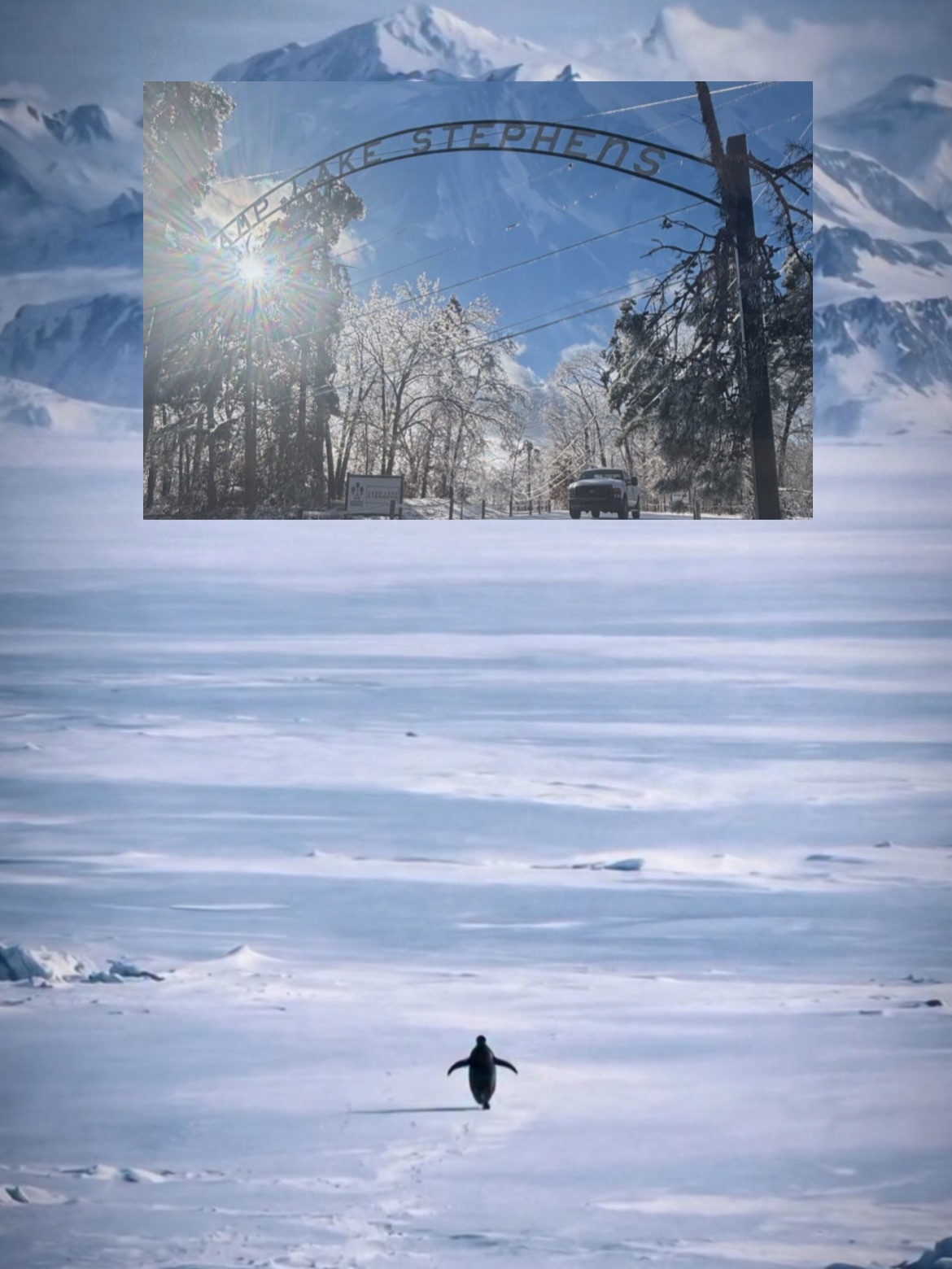 The penguin persists; so will we