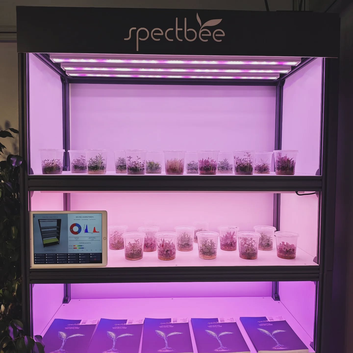 Doku kültürü ve tüm katlı sistem yetiştiriciliği alanında kullanılmak üzere tasarlanmış, bilimsel araştırmalarınızı desteklemek için özelleştirilebilir olan, Spectbee'nin spektrum arayüzü ile tanışın. Bu yenilikçi teknoloji sayesinde, bitki gelişimini optimize etmek ve verimliliği artırmak mümkün hale gelmektedir.
Meet Spectbee's customizable spectrum interface, designed for use in tissue culture and vertical farming to support your scientific research. With this innovative technology, it becomes possible to optimize plant growth and increase efficiency.