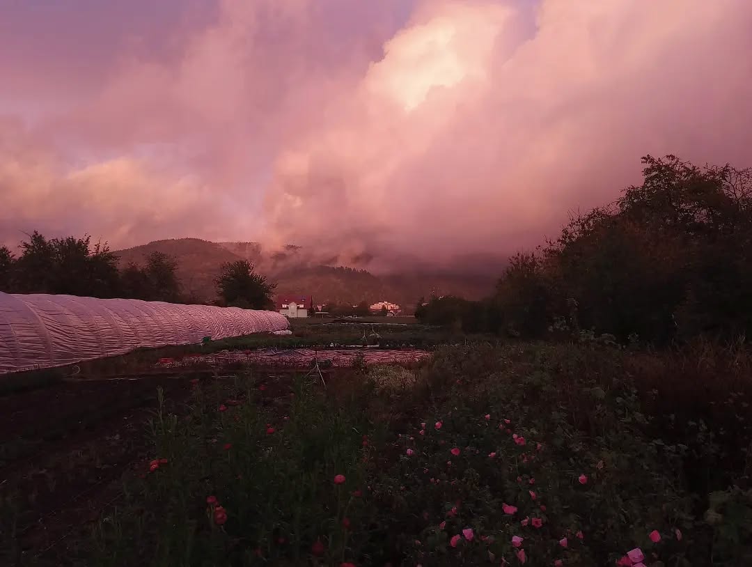 Wildraum zwischen Regen und Sonne, und ein unglaubliches Licht.
(26.10.23)
