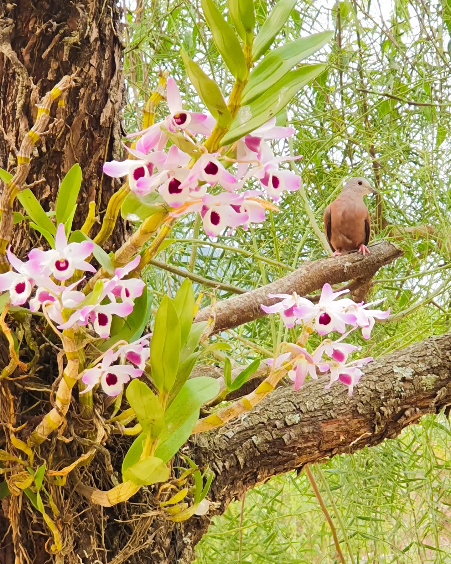 A NATUREZA é linda demais na Mantiqueira.
Aqui no San Benedetto não falta natureza.
Venha conhecer nossos ambientes, nossa acolhida e atendimento, nossos pratos e toda nossa equipe.
#turismoemgoncalves
#serradamantiqueira
#restaurantesanbenedetto
#restauranteemgonçalves
#restaurante
#goncalves
#gonçalves