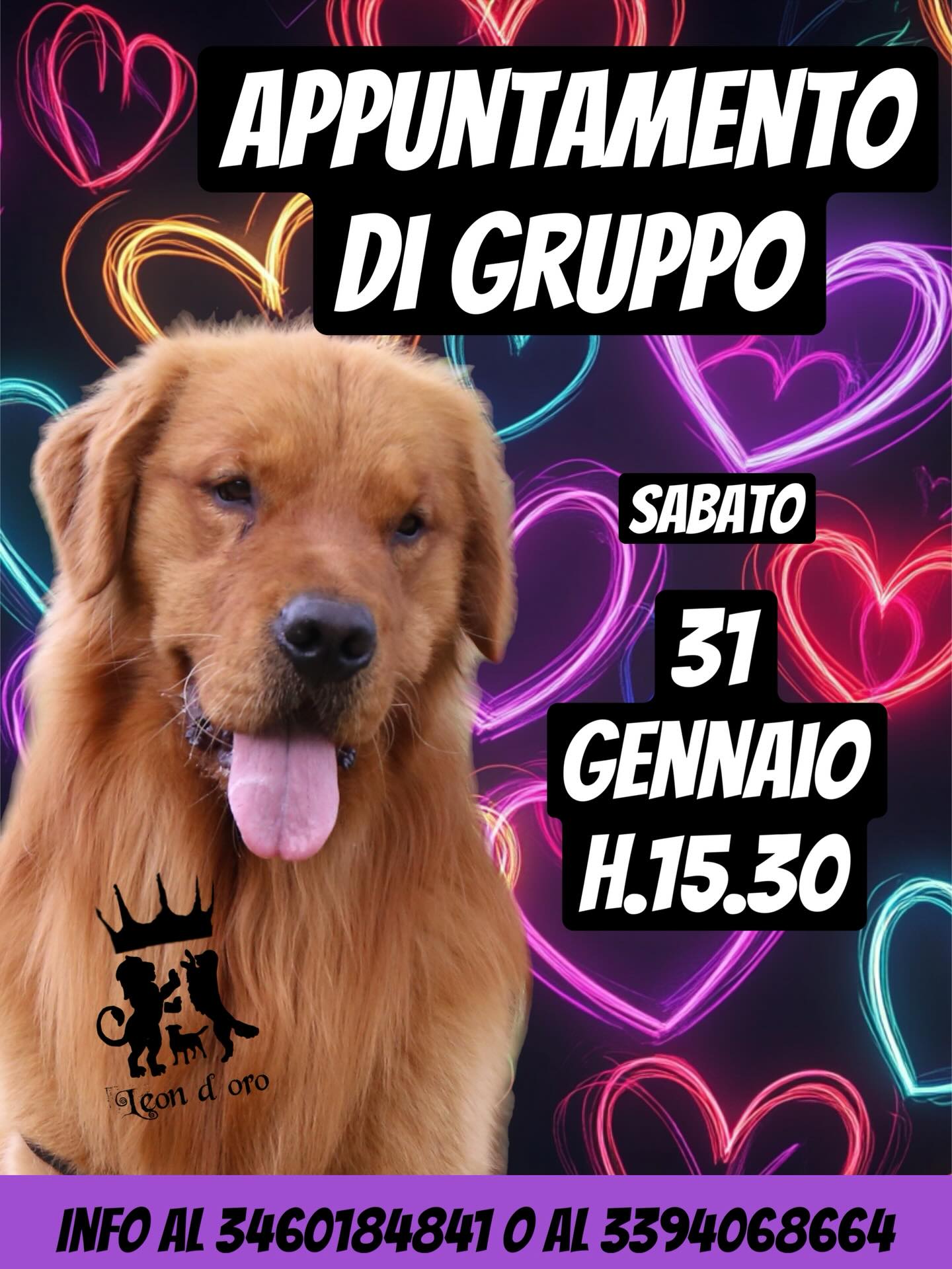 🐕🐾Un pomeriggio alla scoperta del Golden Retriever Americano! 🐾
Sognate di accogliere un Golden nella vostra vita o volete semplicemente conoscere meglio questa meravigliosa razza? Sabato 31 Gennaio alle 15:30 vi aspettiamo per un appuntamento di gruppo speciale presso il nostro allevamento!
Sarà un momento dedicato interamente a voi per:
✅ Approfondire le caratteristiche e le esigenze della linea americana.
✅ Conoscere dal vivo i nostri “cagnoni” adulti e il loro temperamento.
✅ Ricevere informazioni sulla prenotazione dei nostri cuccioli.
⚠️ Nota importante: Questo incontro è un momento informativo dedicato alla conoscenza della razza. Non è un evento di gioco con i cuccioli: la loro salute e serenità sono la nostra priorità e richiedono attenzioni particolari che saremo felici di spiegarvi di persona.
📍 Dove: Presso il nostro allevamento “Leon d’Oro”
📞 Prenotazione obbligatoria via WhatsApp: 346 0184841 oppure 339 4068664
Vi aspettiamo per condividere insieme la nostra passione! 💛