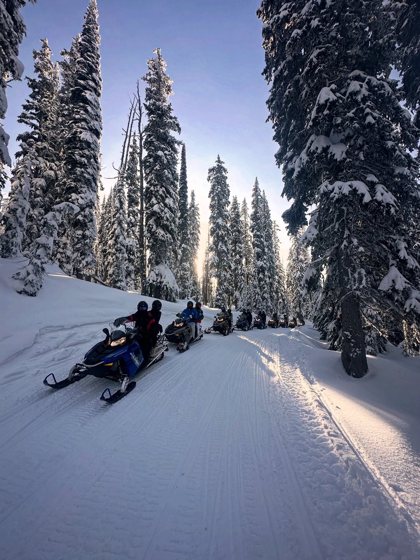 A whimsical wonderland awaits! Reserve your group an exciting Snowmobile Tour today ❄️ SnowmobileWhitefish.com
•
•
•
•
•
#whitefishmarine #whitefishmontana #whitefish #explorewhitefish #montanamoment
