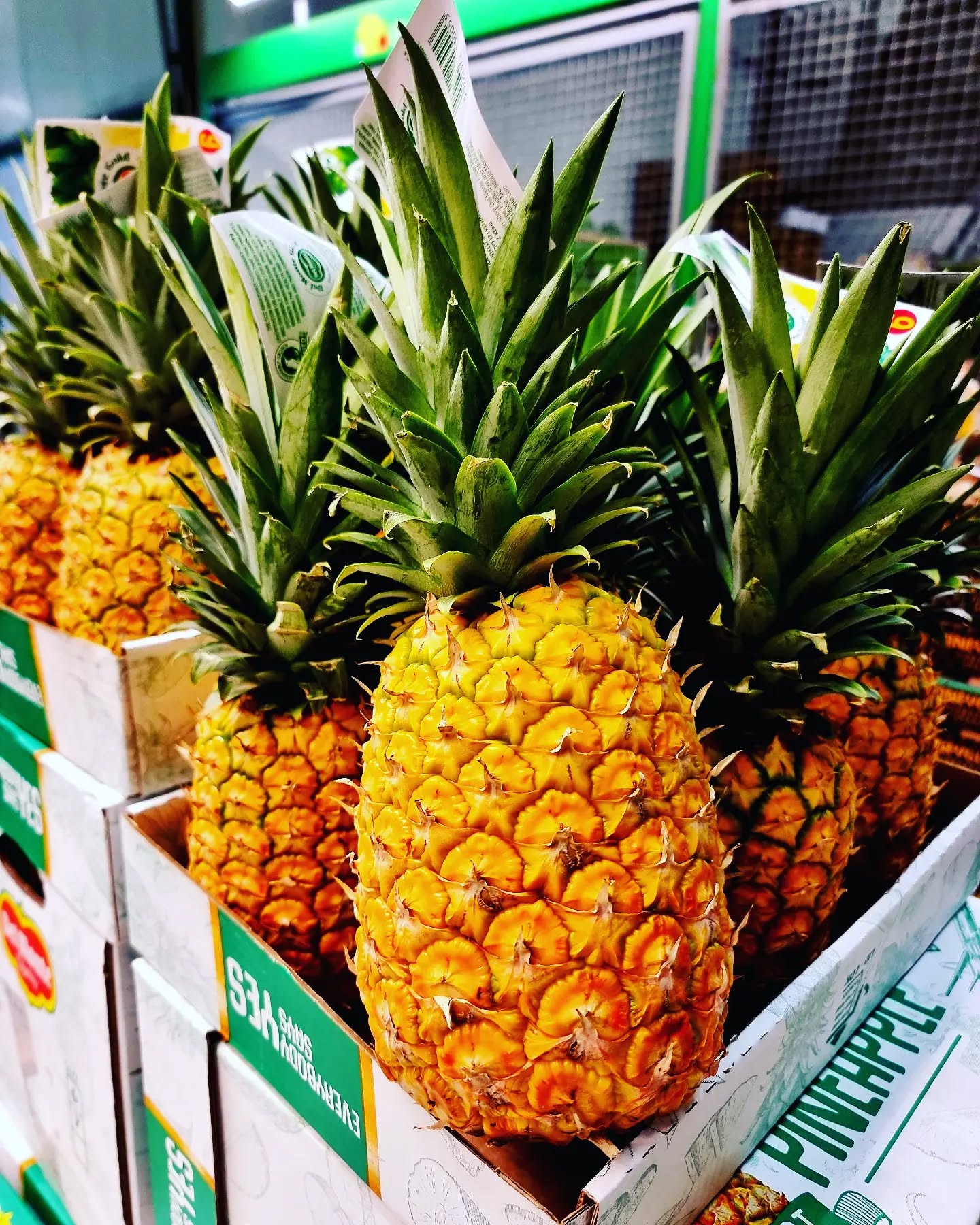 #pineapple #fruit #fruitporn #vitamin #healthyfood #fresh #costarica #byair #ehmann