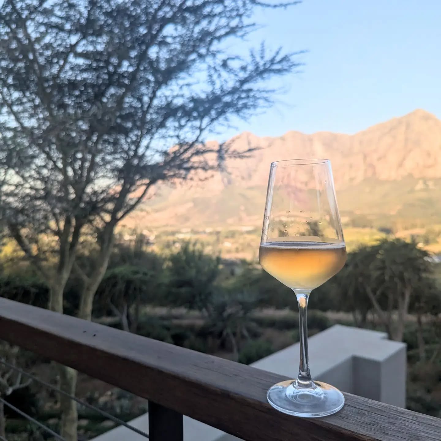 I thought we could all use some blue skies and warm weather vibes.
#wine #southafricanwine #winelover #winelife #wines