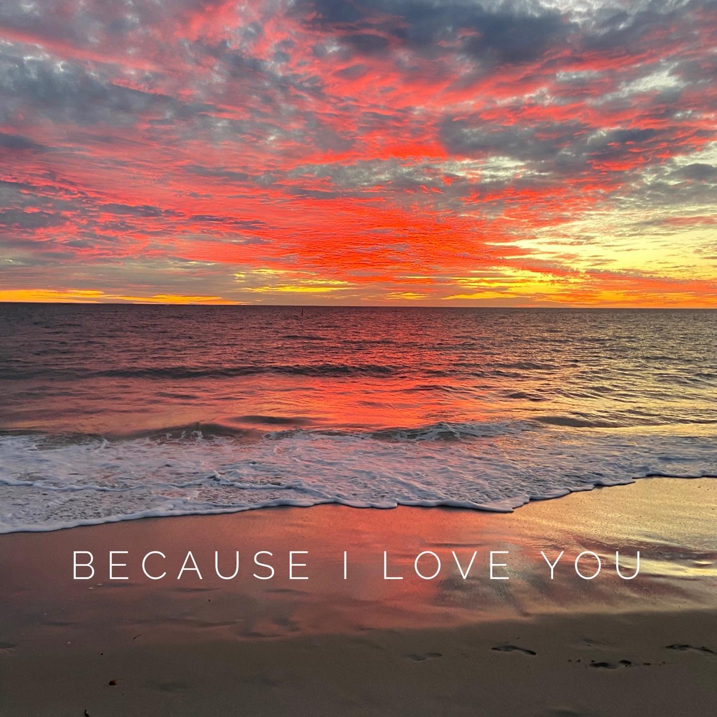 Messages come through in nature, always! 💗💫