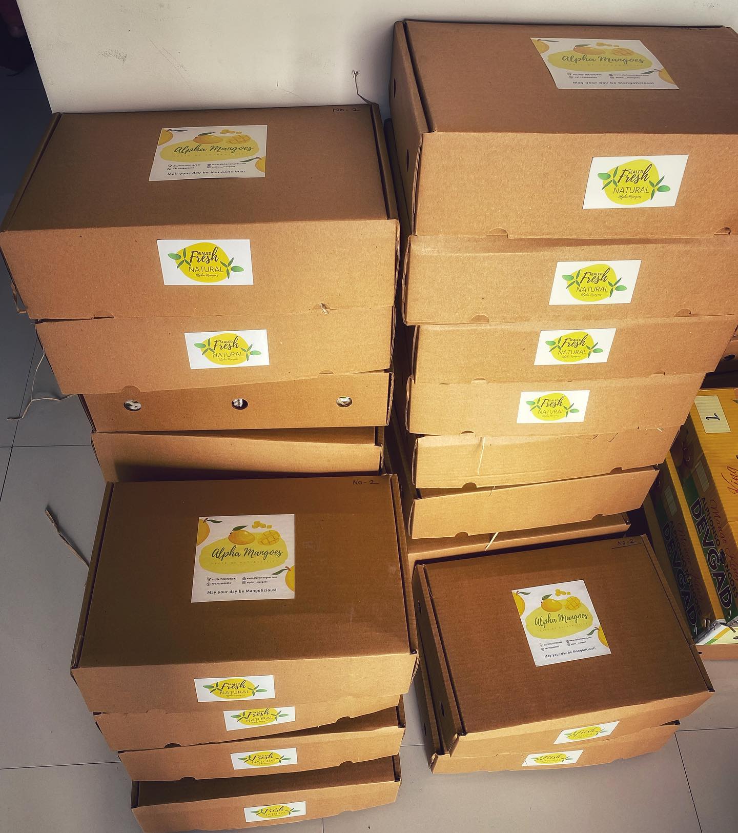 All packed up ready to be shipped! First batch of Devgad mangoes are fresh and ready! Book your dozen today!
#mangoes #devgad #devgadhapus #alphonso #mangoes #alphonsomangoes #devgadmango #devgadalphonso #delicious #mangosale #yellowmango