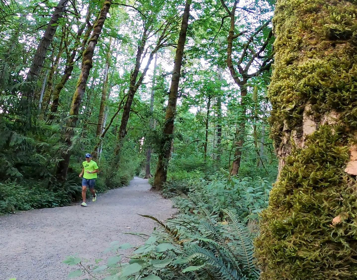 🏃🏽♂️ First “real” run since surgery! Knee feels good. Lungs feel awful!!
..
..
..
..
..
..
#runningmotivation #instarunners #runnersofinstagram #runcoach #trailrunning #triathlontraining #triathloncoach #swimbikerun #trilife #ironmantraining #ironmancoach #triathlete #teamzoot #teamzootpnw #thebeatcoaching