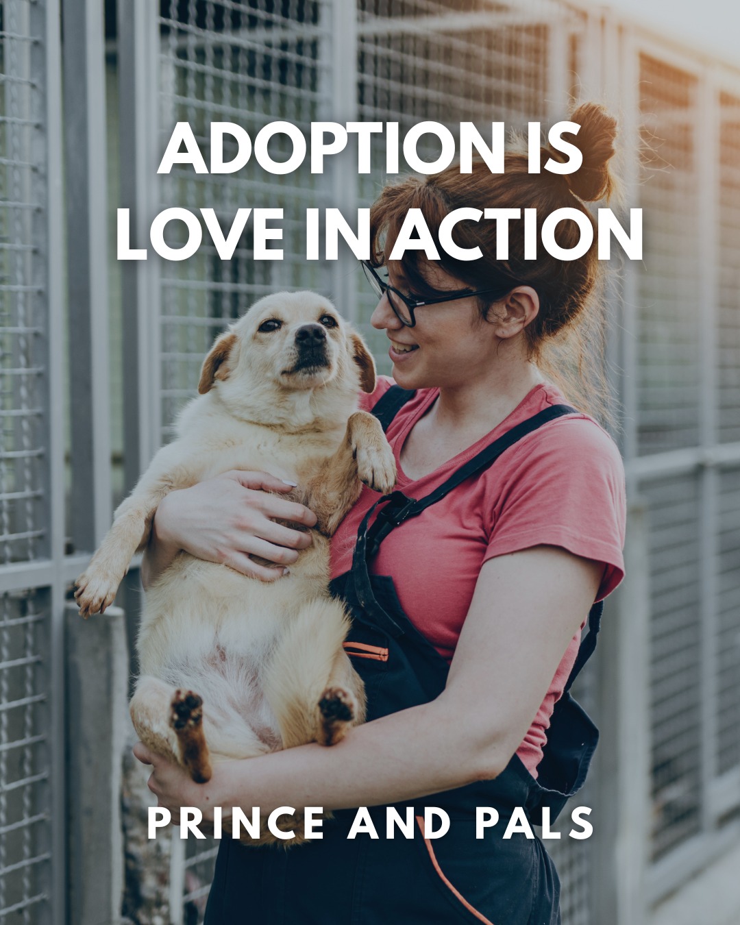 Every adoption is a life saved and a heart opened. When you choose to adopt, you're giving a shelter animal the second chance they deserve while making room for another to be rescued. Visit your local shelter and see how you can turn love into action.
#princeandpals #adoptdontshop #dogrescue #animalrescue