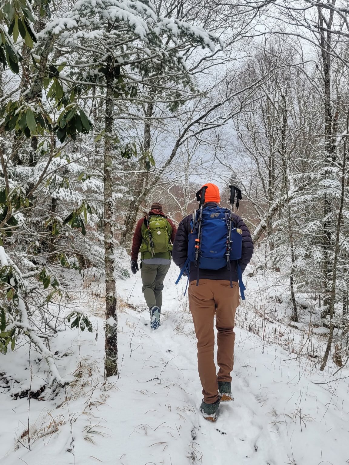 Feeling the warmth in #pisgahnationalforest by way community. But also hand warmers. Lots of hand warmers.
