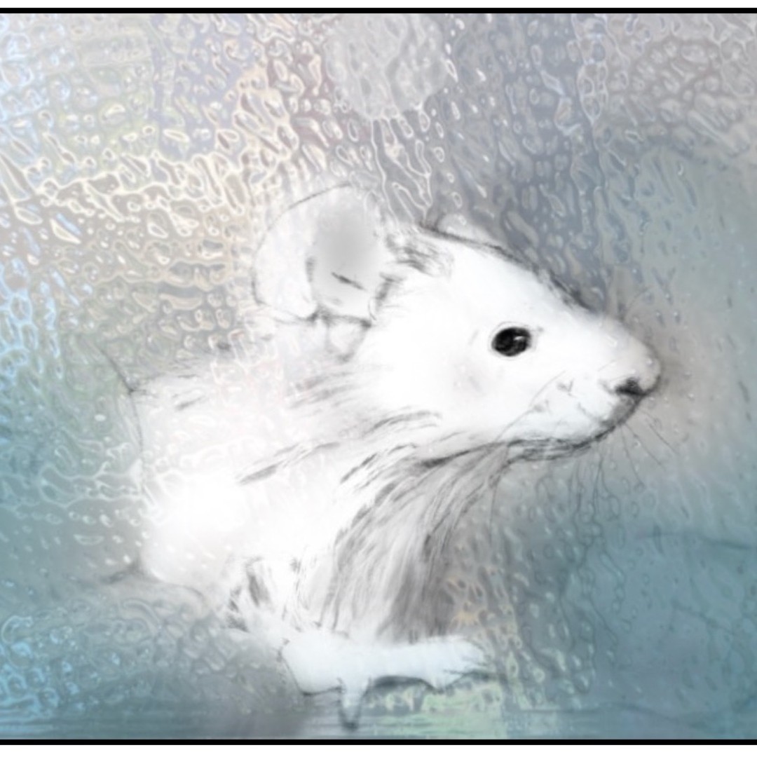 Media exploration for a personal project looking into relationships between people and animals in research laboratory settings.
Started with last week’s charcoal drawing of a mouse, cupped in gentle hands. This week's virtual visit to a biomedical research lab got me thinking about blue surgical gloves and working behind glass.
#animaltechnicians #animaltech #labanimals #Visualjournaling #Drawingsmatter #GTDartist