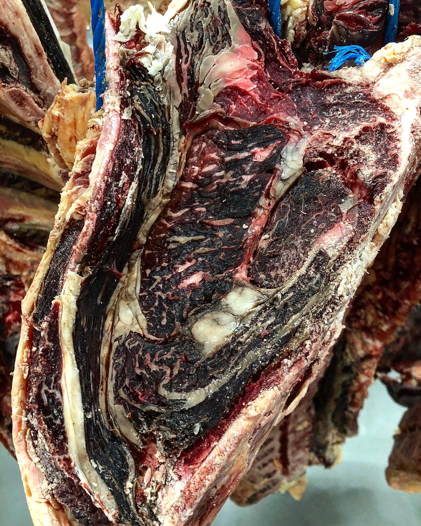 Je suis une croisée vbf et je n’attends que toi pour être dégustée #elevagefrançais #noseleveursontdutalent #boucherielyonnaiseorigine