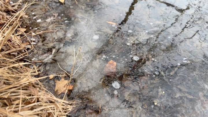 The beauty of frozen water
And feathers
#winter #modernclassicalpiano #neoclassicalpiano #relaxingpiano #piano