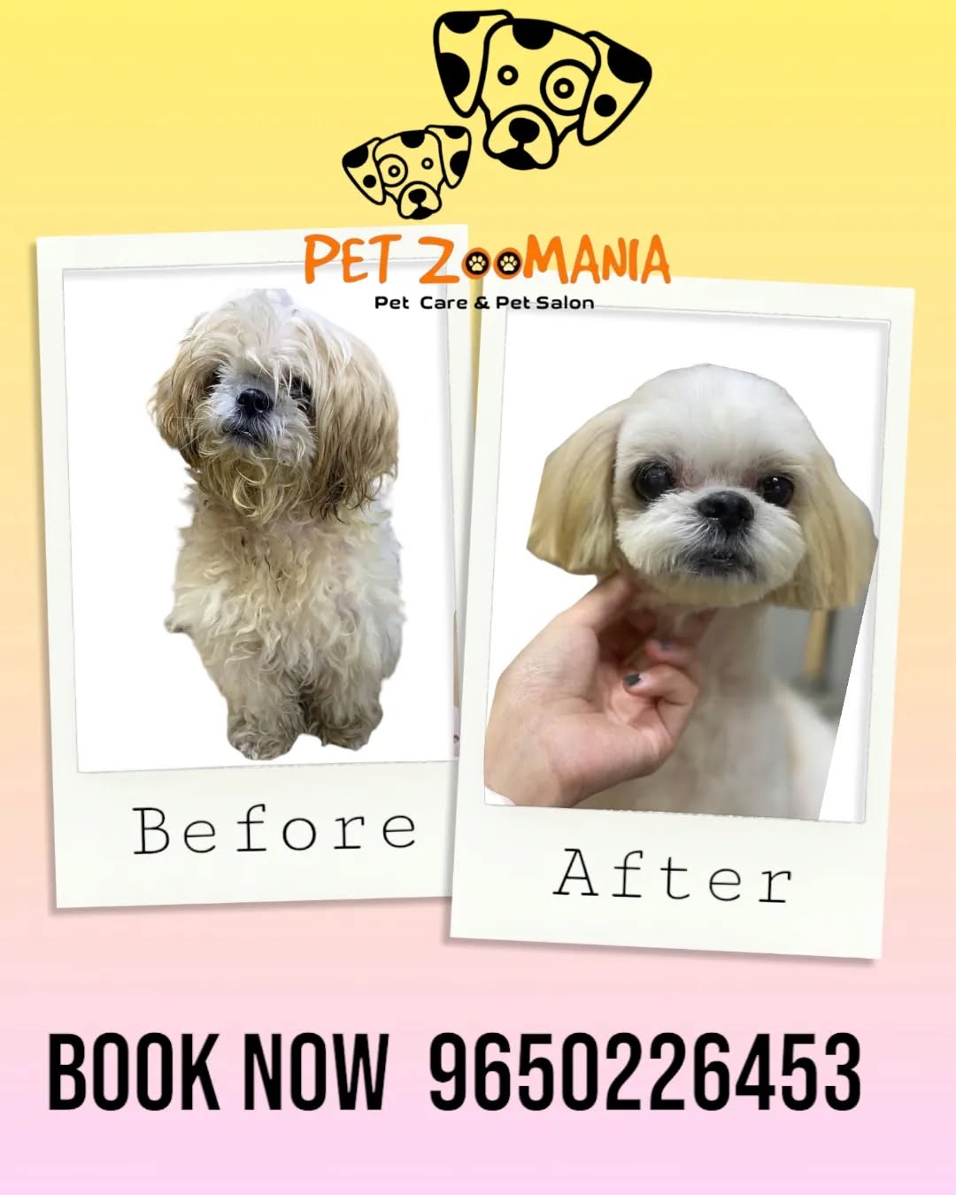 Book your sessions now with professional groomers......for better experiences
