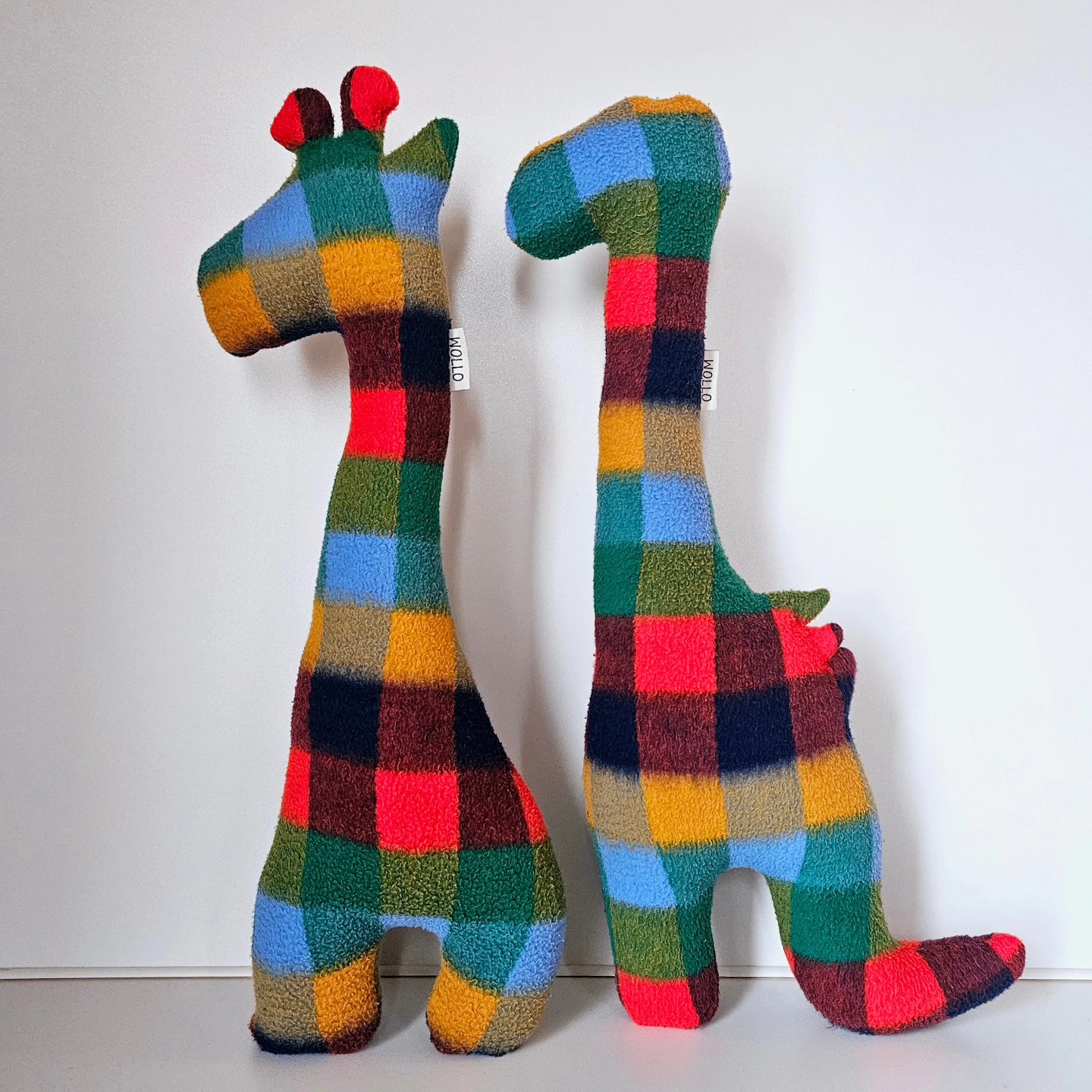 Each Wollo is unique! 💥