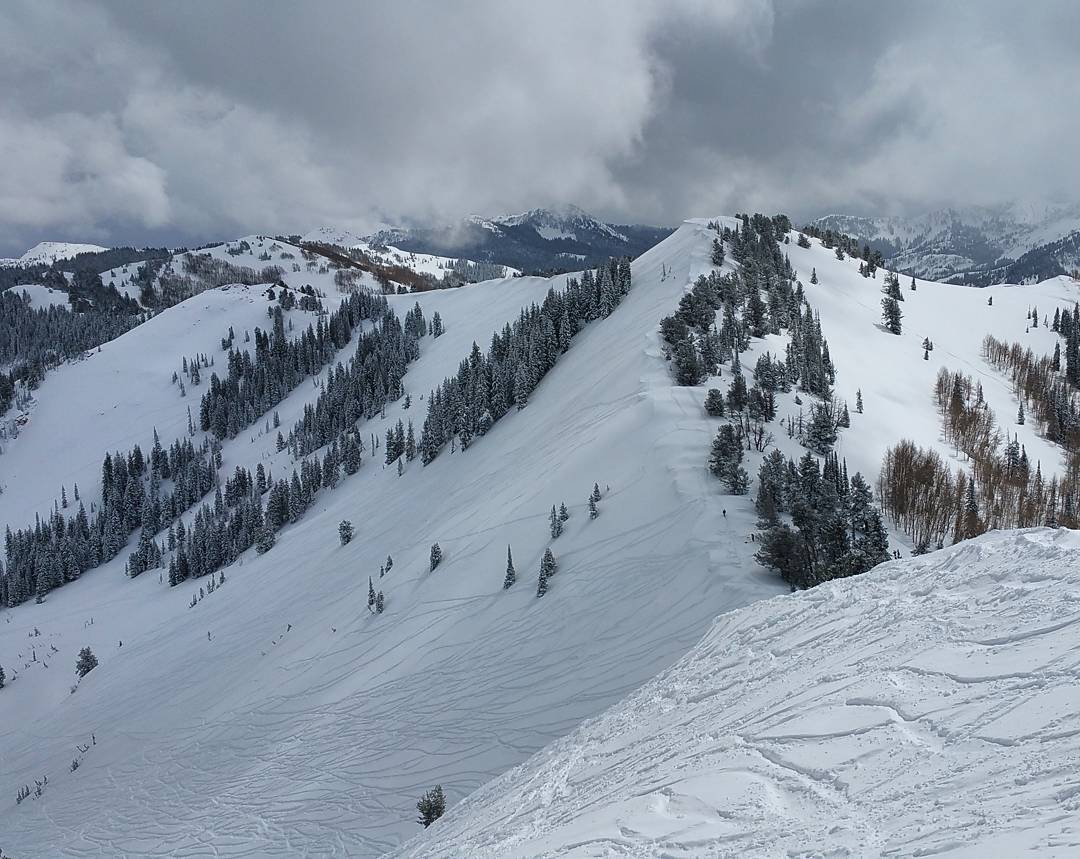 Dreaming of this? Shuttle Park City will transport you and your family comfortably and safely to your destination.
#deervalley #solitude #snowbird #brightonresort #sundance #parkcity #canyonsresort #snowbasin #altaskiarea #skivacation #skiutah