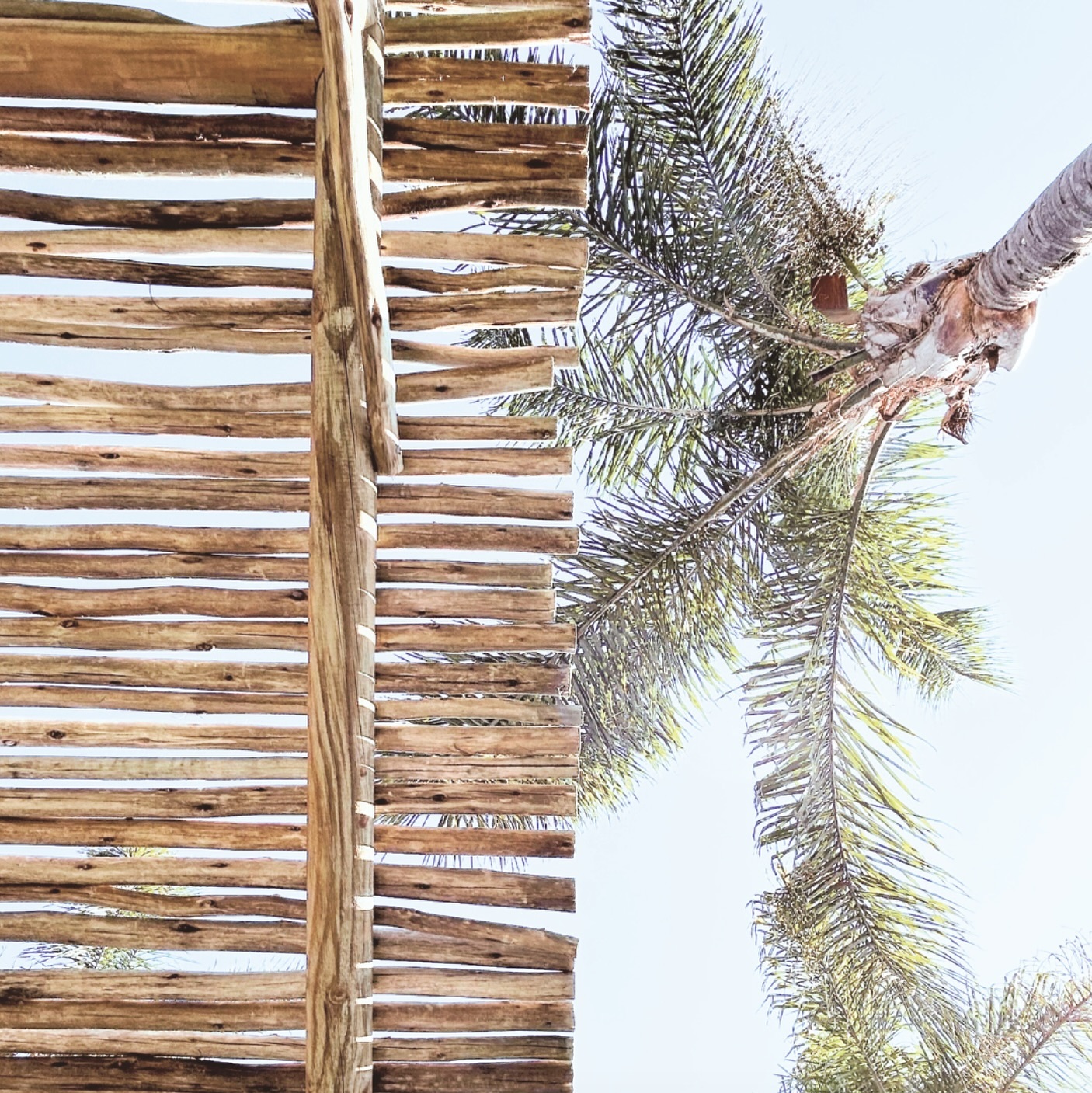 Enjoy a touch of luxury when you and your guests stay at South Pacific Palms Motel, and host your event in the Palm Room. With exclusive access to our poolside cabanas, your guests can relax and celebrate in style.