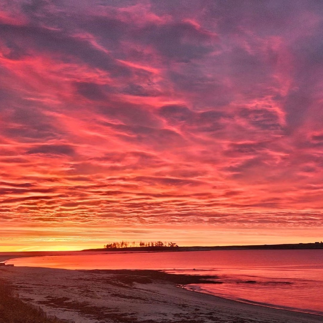 Für alle, die Freude daran haben könnten (oder einfach nur neugierig sind), gibt es jetzt eine kleine Playlist zu meinem Roman "Das gleiche Leben. Nur anders." Die Songs sind in einer eher seltenen Version zu hören, sodass für Interessierte vielleicht ein überraschender Genuss entsteht. https://youtube.com/playlist?list=PLDmNLPlkDXVoof_NKuqnj07dmh5jFxsHJ&si=jhlz7E5ax6aiCFqH