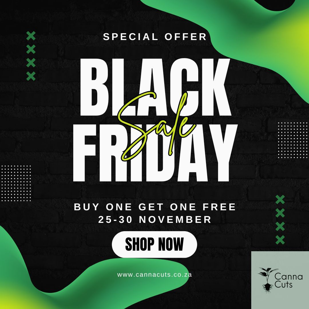 Black Friday Special!
Available from the 25th till the 30th of September. Don't miss out on our buy 1 get 1 free special!
Check out our genetics @ www.cannacuts.co.za