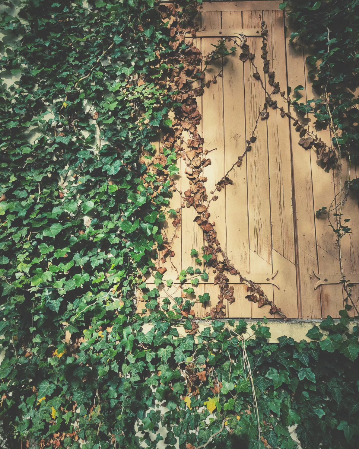 Nouvelle aventure 😀 @may_and_gazoline @mathh_vg ... Bon ok il y a un peu de travail