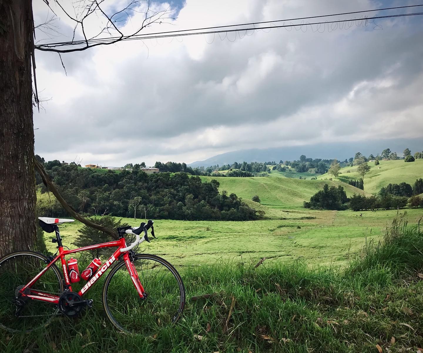 The best rides have the best spots for a stop. ⛰😎☕️📸
•
•
•
•
•
#cyclingculture #insearchofup #cyclingmemories #roadcyclingpics #ridelots #lifebehindbars #roadporn #whyiride #roadslikethese #cyclingporn #fromwhereiride #beautyofcycling #cyclingphotography #whereiride #outsideisfree #wymtm #switchbacks #instaroads #mountainpass #fromwhereweride #cyclingadventures #roadcyclist #cyclingshots #roadstotravel #mountainphotography #roadstoride #natgeotravels #cyclingtour #cyclingholidays #cyclingaddict