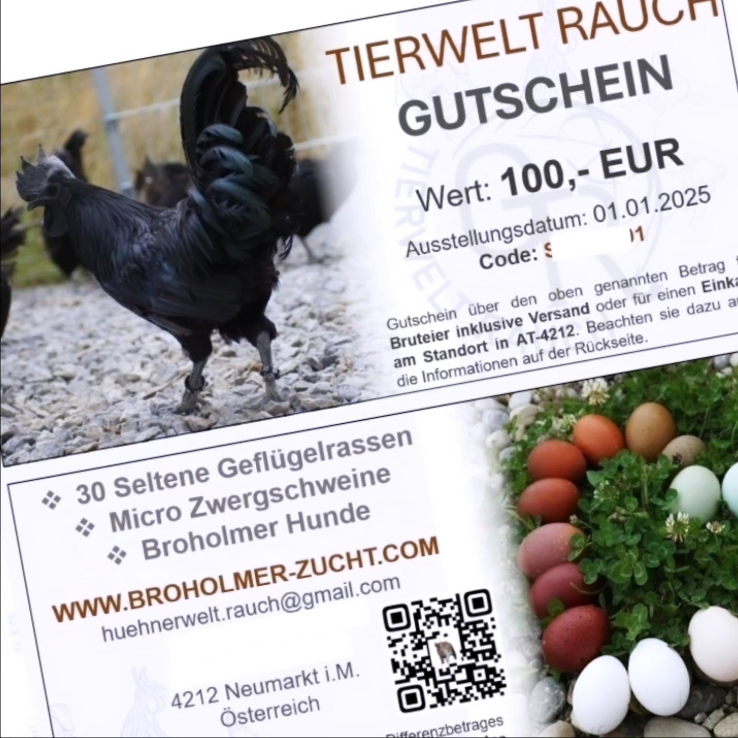 Geschenksidee gesucht?
Ab sofort könnt ihr bei mir auch Gutscheine bestellen. ✨
Einfach mit dem gewünschten Betrag bestellen und zum selbst ausdrucken per Email oder per Post zugesendet bekommen.
🐕🐓🐷
Mehr Infos gerne per PN.
______________________________
___
www.broholmer-zucht.com
Instagram & TikTok @huehnerwelt_rauch
Facebook @rauchs_huehnerwelt
_________________________________
Liebe Grüße und alles Gute
Euer Gabriel von Rauchs Hühnerwelt
#marans #britishlavenderaraucana #narure #gahmongeurope #happyküken #maranschicken #happyhühnergarten #brüten #rooster #araucana #minischwein #microschwein #hühnerwelt #hühnerei #mychicken #küken #photooftheday #glucke #zahmehühner #bruthenne #moorhühner #lavenderaraucana #babychicks #ayamcemani #hühnerzucht #hatchingeggs #gahmong #broholmer #hühnerweltrauch #buntehühner