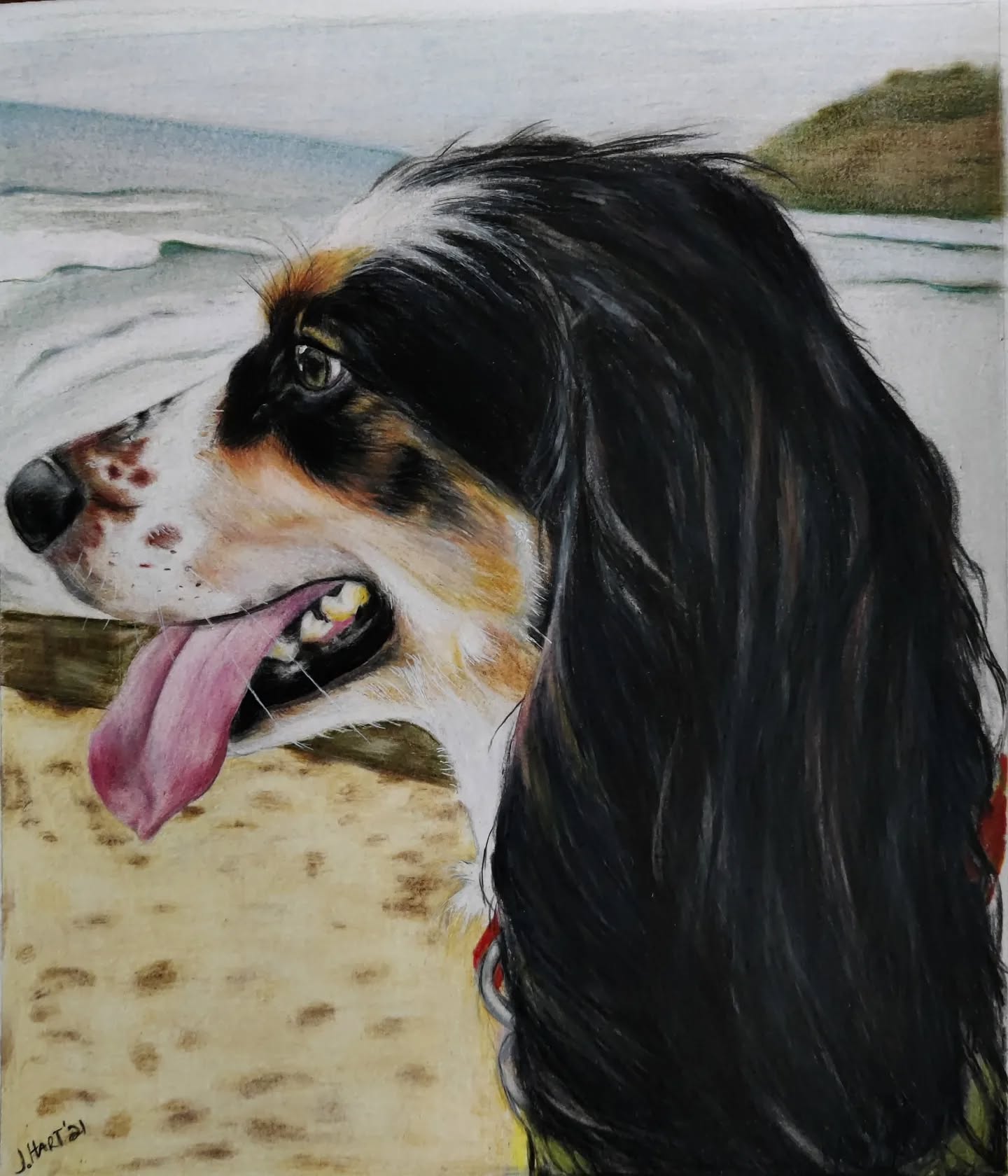 Commission of Handsome Spike........completed last year..... drawn with Faber Castell Polychromos pencils......
#pets #petsportrait #dog #dogs #dogsofinstagram