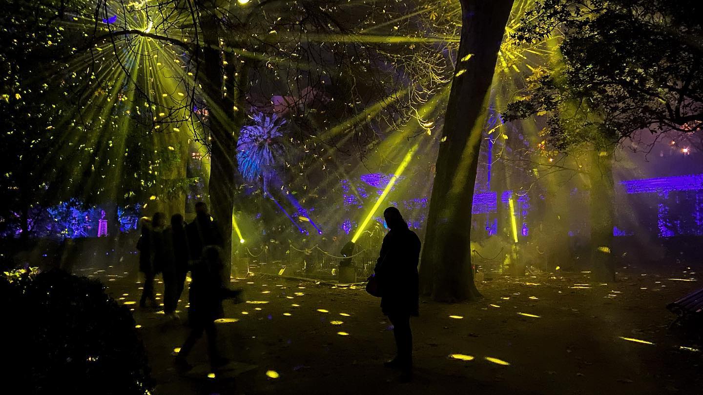 Naturaleza encendida en el Real Jardín Botánico. @rjbotanico Increíble como esta iluminado. #iluminacion #jardinbotanico #realjardinbotanicodemadrid #lights #magic #buenosratos #lucesdenavidad #daniparri