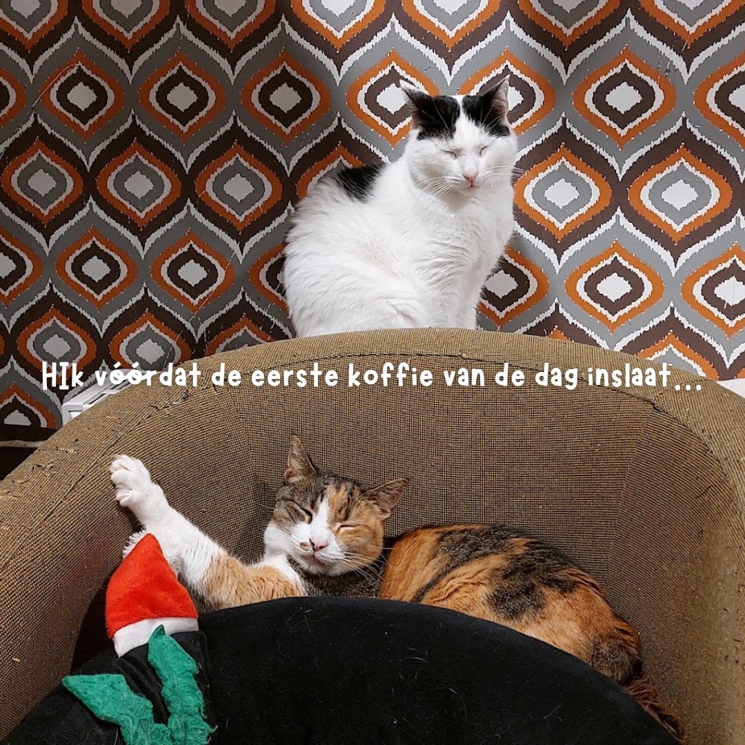 En ja… sommige ochtenden voelen precies zo 😴☕
Wie herkent dit?