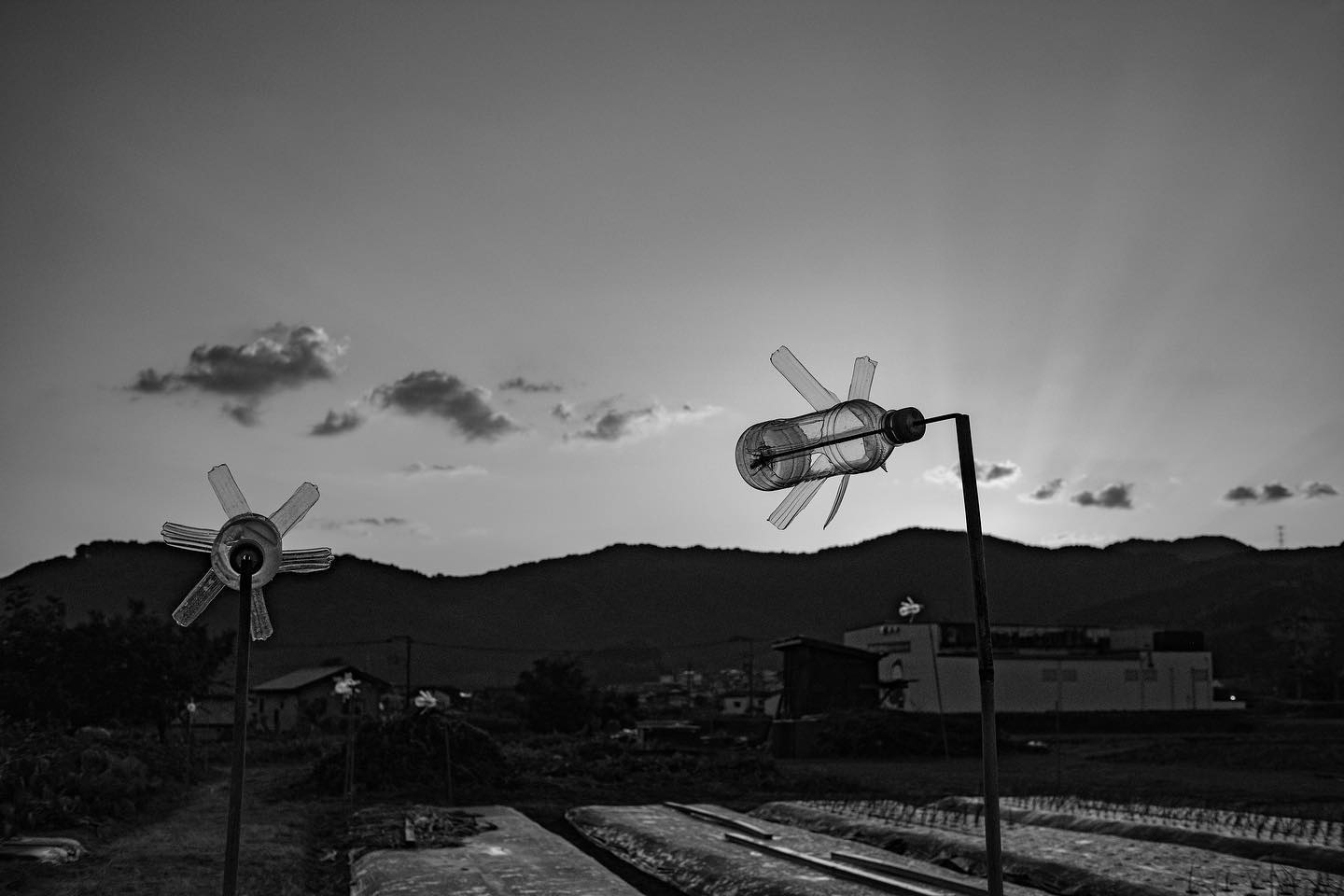 pinwheel made of plastic bottles
Windmill made of plastic bottles
#fujifilm #x-pro2#7artisans #7artisans25mm #blackandwhite#black&white#film#fomapan#filmcamara#filmart#picoftheday#art#style#nikon#tamron#cinestill#punk#blues#bird#monochrome#monochromefhotograph#A black-and-white photograph#aquietlife #pinwheel