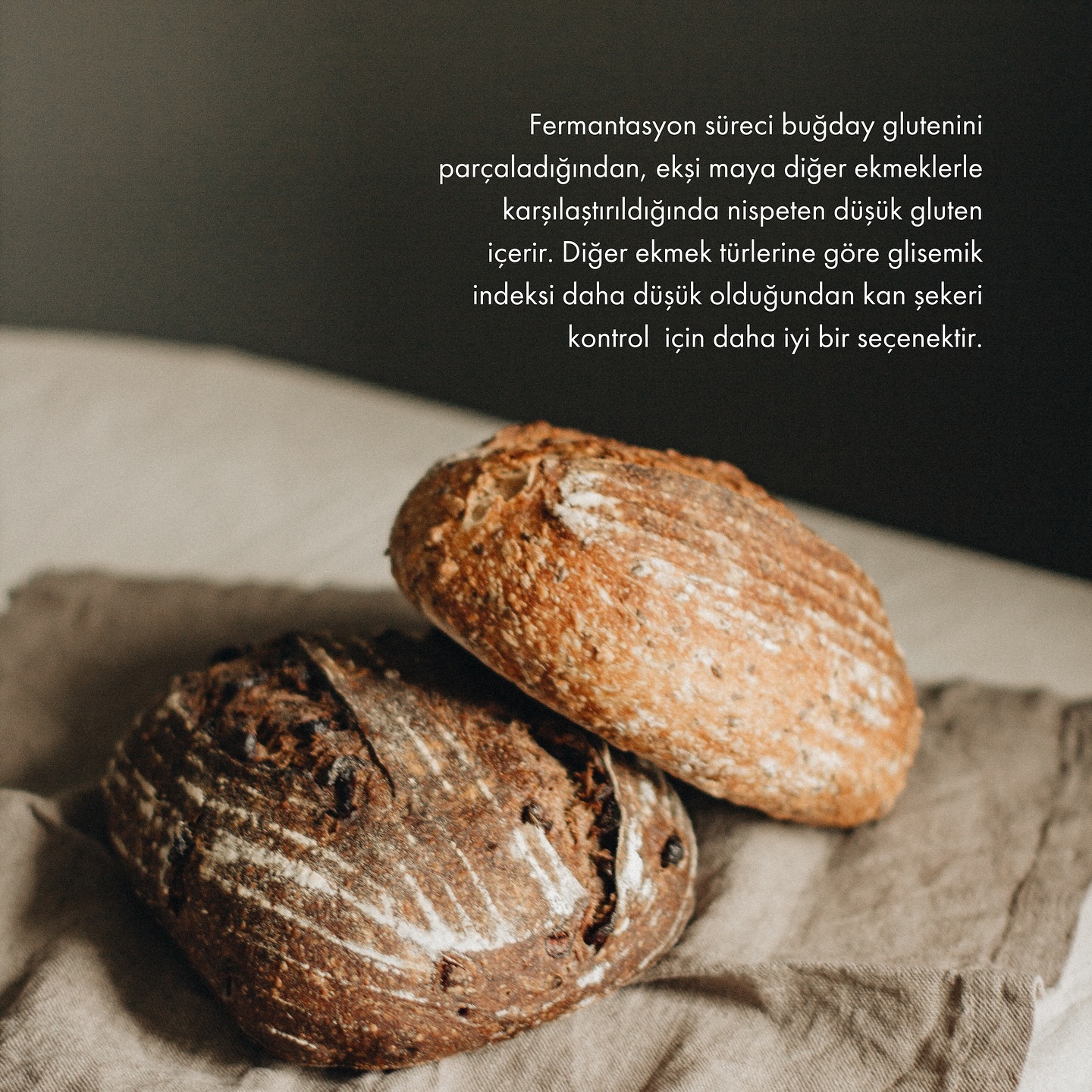 Beyaz ekmek yerine tüketilebilecek alternatifler, özellikle rafine un ve glüten tüketimini azaltmak isteyenler için sağlık açısından faydalı olabilir. Bu alternatifler genellikle daha düşük karbonhidrat içeriğine sahip olup, lif, vitamin ve mineraller bakımından daha zengindir.
Ekşi mayalı ekmek, geleneksel bir fermantasyon süreciyle yapılan ve sindirim sistemi üzerinde olumlu etkileri olan bir ekmek türüdür. Bu tür ekmeğin sindirimi daha kolaydır çünkü fermantasyon sırasında maya ve laktik asit bakterileri, hamurdaki karbonhidratları ve glüteni parçalayarak vücut için daha az zorlayıcı hale getirir.
Ekşi mayalı ekmek, sindirimi daha kolay olan bir ekmek türü olduğundan, bazı mide ve bağırsak rahatsızlıklarına sahip kişiler tarafından daha rahat tüketilebilir.