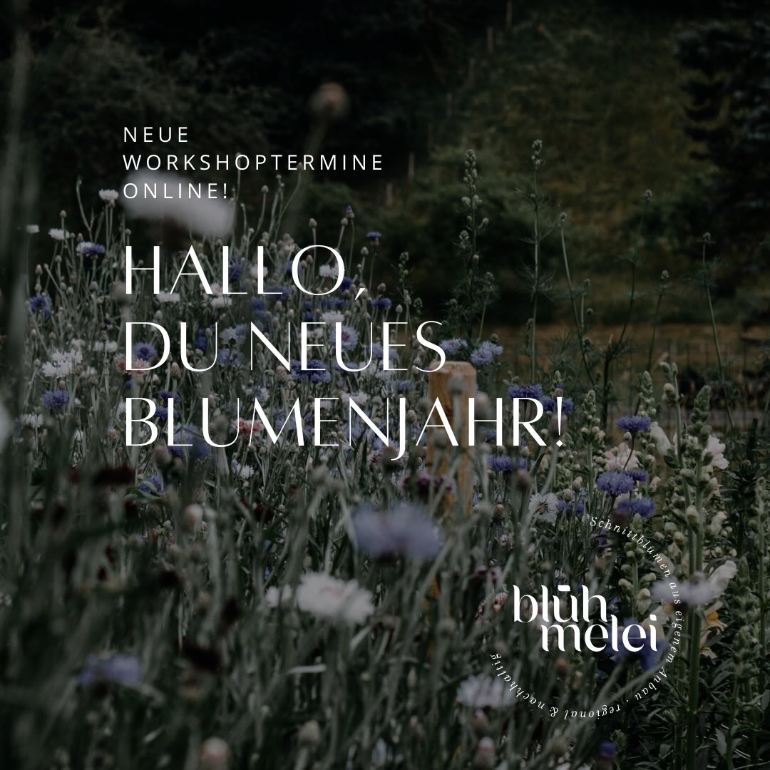 Winterpause. Durchgeatmet.
Samen bestellt, Träume sortiert, neue Termine im Kalender.
2026 darf kommen – ich freu mich riesig auf ein neues Jahr im Blumengarten, auf Begegnungen, auf gemeinsames Kreativ-Werden zwischen Blüten, Farben und Ideen.
Ein kleiner Hinweis in eigener Sache:
Dieses Jahr wird es keine Blumenabos
und Workshops mit Frischblumen geben, weil wir uns bewusst Raum für eine längere Reise im Sommer nehmen.
Die Blühmelei bleibt.
Mit Blumen, die an morgen denken.
2027 gibt’s dann wieder das ganze Paket -
inklusive Frischblumen, Abos & Workshops
#workshops #neuetermine #slowflowers #bluehmelei