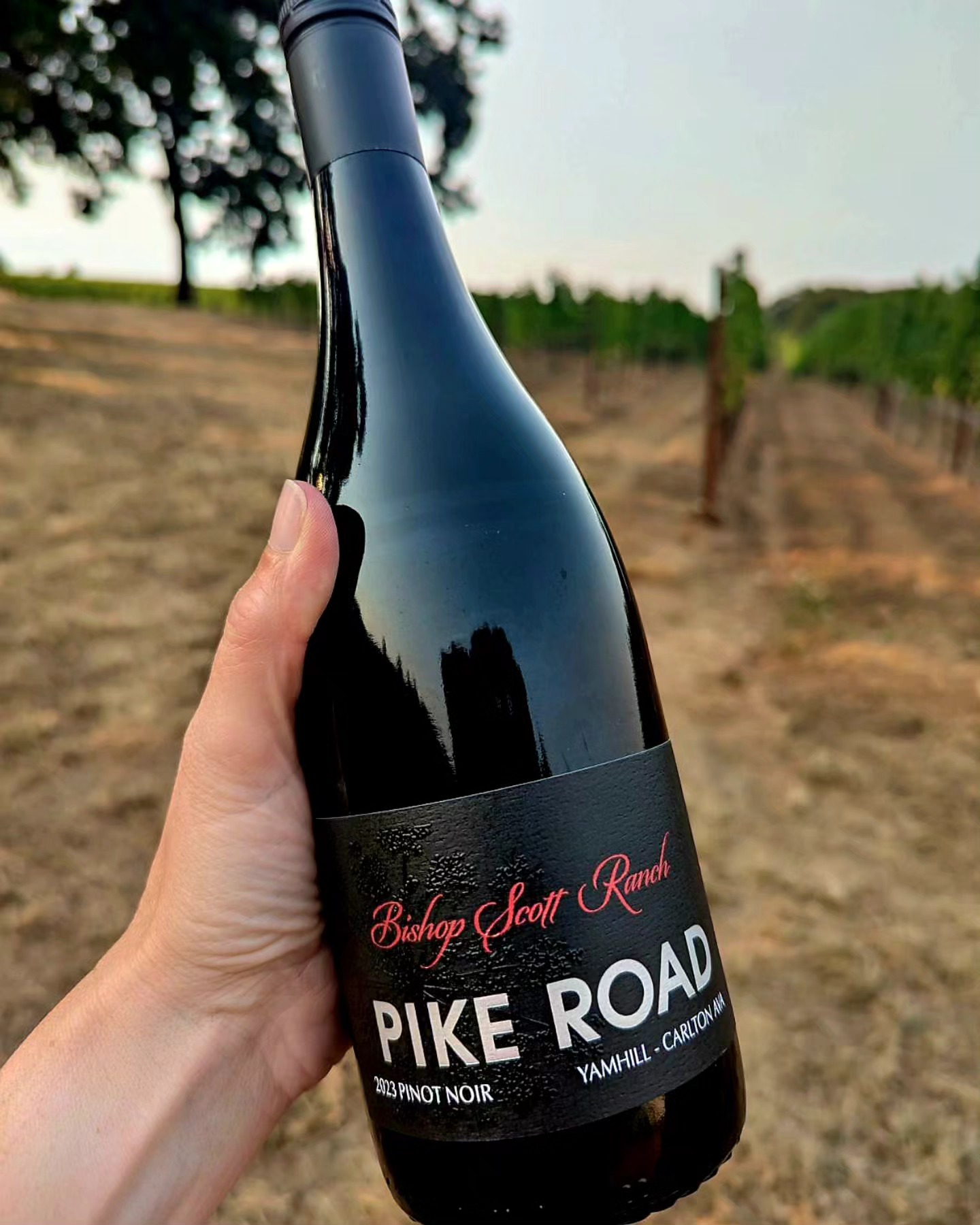 We're excited to announce that last year's harvest marks a milestone for our vineyard. Pike Road Wines has proudly produced a vineyard designate with our fruit, reflecting the unique character of our site. From inception, we have focused on growing exceptional fruit, and this bottling is an expression of our commitment to farming.
Look for the Bishop Scott Ranch bottle at Pike Road Wines in Spring 2025.
Visit @pikeroadwines online for more information and order.
#pikeroadwines #pinotnoir #oregonwine