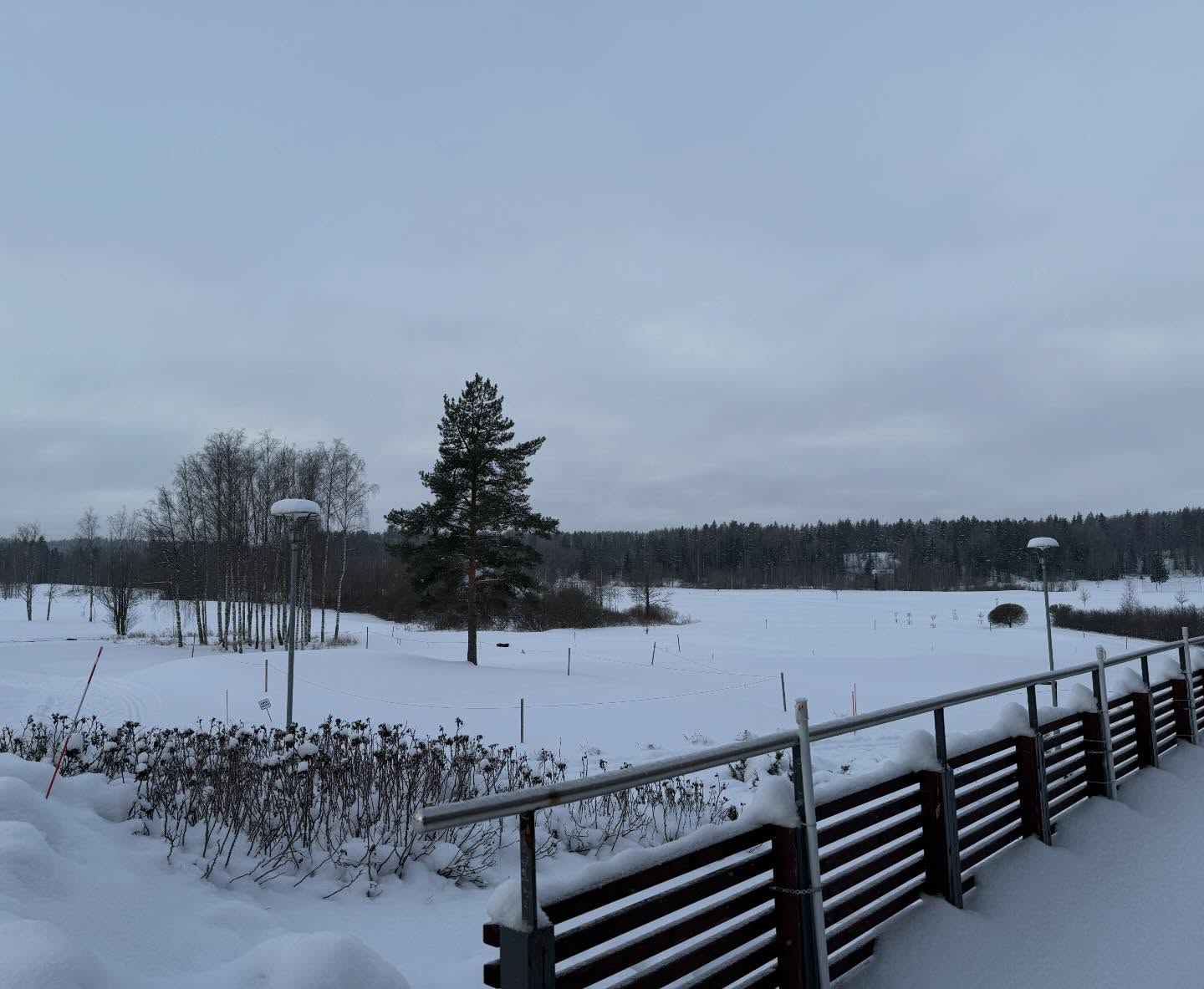 Aamun tilanne. -16 C 🥶🥶🥶