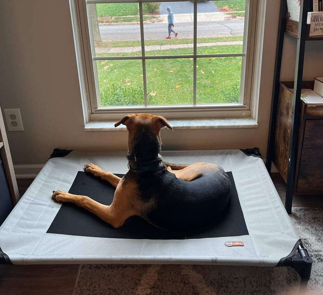 Private lessons are the perfect solution this winter. No need to brave the cold—we’ll work with you and your dog in the comfort of your own home! Whether you’re tackling obedience or behavior challenges, we’ll create a personalized plan just for you.
📆 Schedule your private lesson today!