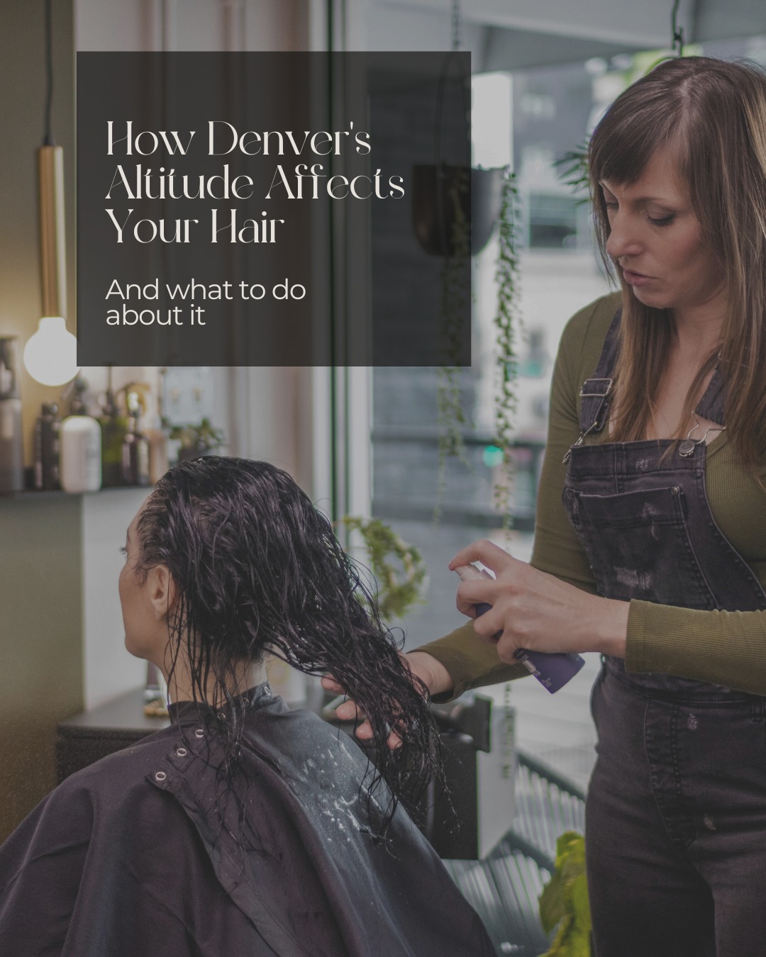 "My curls are gone."
"My scalp won't stop itching."
"My hair has never been this dry."
I hear this from nearly every client who moves to Denver. And here's what I tell them: Your hair isn't broken. Denver's altitude changed the game, and your routine needs to catch up.
At 5,280 feet, UV exposure is 8-10% stronger. The air is bone-dry. Your hair's hydrogen bonds are literally breaking down at the molecular level.
That "moisturizing" routine that worked perfectly in your humid climate? It's not moisturizing ENOUGH here.
Here's what's really happening:
✨ Your cuticles are lifting from UV damage
💧 Low humidity is pulling water molecules out of your hair shaft
🌡️ Your scalp is overcompensating with oil while your ends stay parched
❄️ Winter's double-dryness (cold air + indoor heating) makes it worse
The solution isn't more of what you've been doing. It's a complete altitude adaptation.
Weekly deep conditioning isn't excessive here—it's essential. Products need to be MORE moisturizing on the gradient. And that layering moisture throughout the day? Non-negotiable.
Your hair isn't failing you. It's signaling that it needs something different.
"How Denver's Altitude Affects Your Hair and Scalp: What Every Coloradan Needs to Know"**
**NEW BLOG POST:Read the full breakdown + my professional altitude adaptation protocol. On my latest Real Talk:Real Hair Blog posting Link in bio. 👆
📍 Wild Soul Salon & Head Spa | Denver, CO