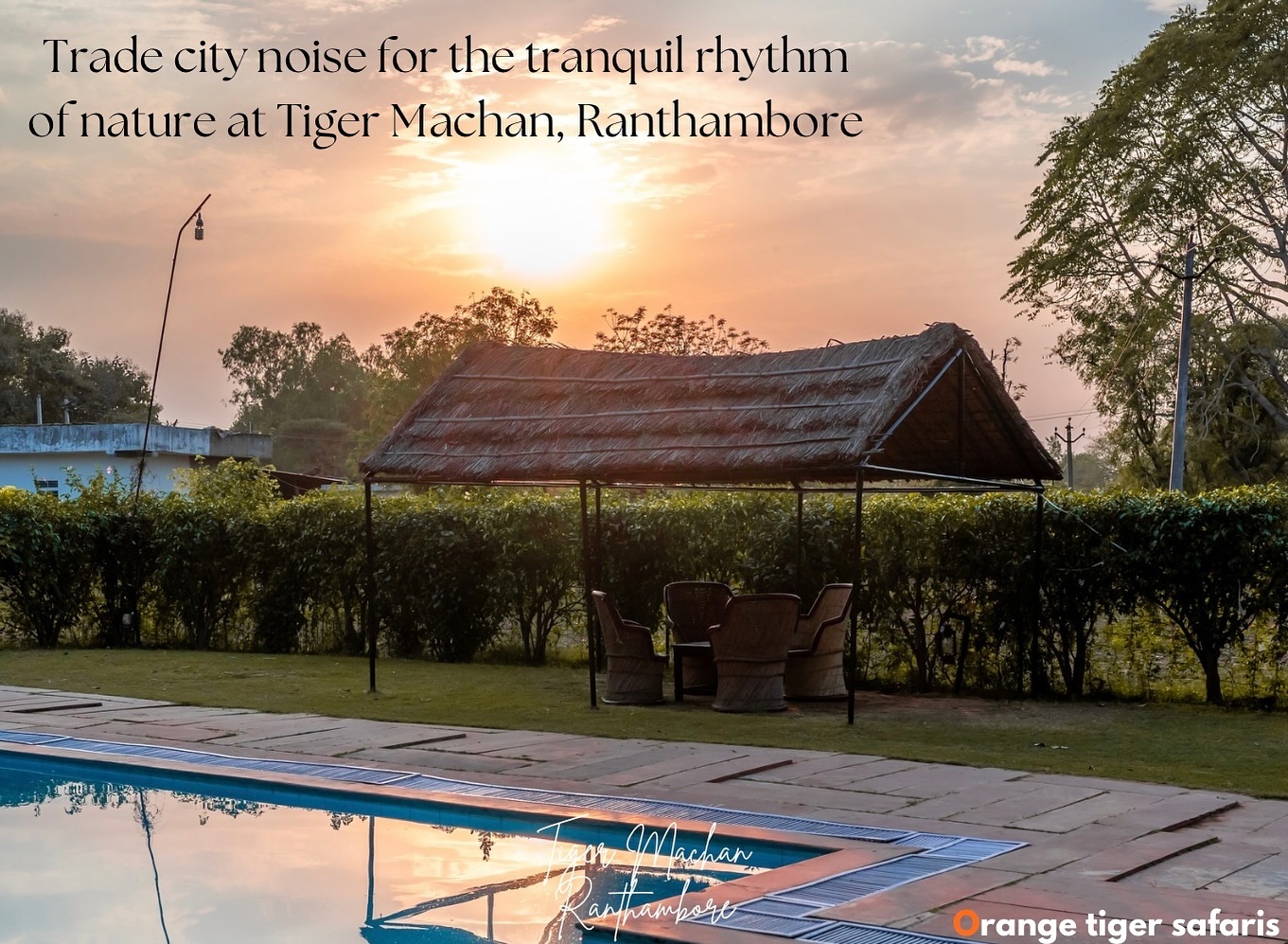 Leave behind the city clamor and immerse yourself in the serene symphony of the wild at Tiger Machan, Ranthambore. Experience nature at its purest.
Experience the nature and contact us for more inquiries and bookings :
+91 99505 21870
tigermachan@ymail.com
https://www.ranthamboretigermachan.com
#explorepage #getaway #tigermachan #reelitfeelit #ranthamborediaries #rajasthantourism #ranthambore #tentstay #india #reelsindia #staycation #landoftigers #travel #tigersafari #travelgoals #exploreindia #incredibleindia #ranthamborenationalpark #sawaimadhopur #explore #rajasthan #reels #safari #resortinranthambore #luxurytravel #fyp #MachanSafaris #Orangetigersafaris #farmtotable
{TigerMachanResort , Ranthambore,
RanthamboreNationalPark,TigerSafari,LuxuryTentStay,SafariAdventure,WildlifePhotography,TravelRanthambore,ExploreRanthambore,SafariExperience,RanthamboreWildlife,TravelIndia,JungleResort,TigerWatching,EcoTourism,NatureLovers,TentResort,WildlifeConservation,IndianSafari,RanthamboreTrip,SafariLodge,AdventureTravel,WildernessEscape,TravelDiary,NatureGetaway,LuxurySafari,JungleRetreat,RanthamboreAdventure,TravelInspiration,SafariJourney}