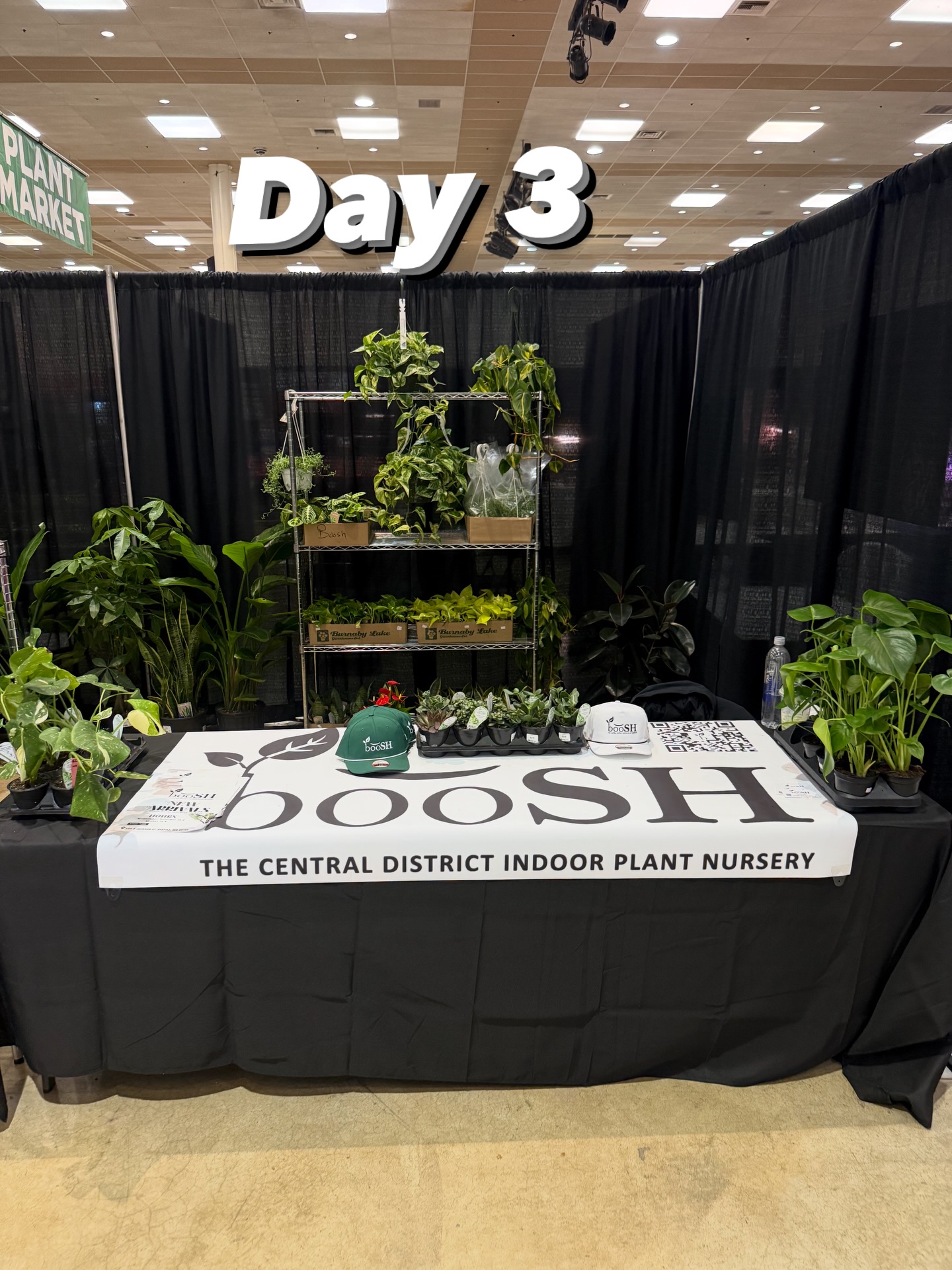 Day 3!!!! One more day to go after this one here at the show!
#booshnursery #plantshow #houseplants #indoorplants #tacomahomeandgardenshow