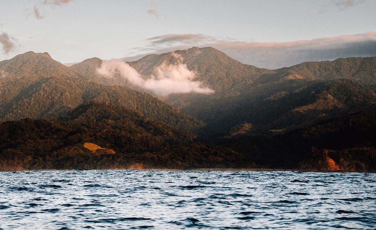 Scenes from Cerro Hoya. The Azuero Peninsula, a haven for biodiversity and exploration. Book with us to have this as your backyard!
.
.
.
#visitpanamá #panamawildlife #destination_wild #cambutalpanama