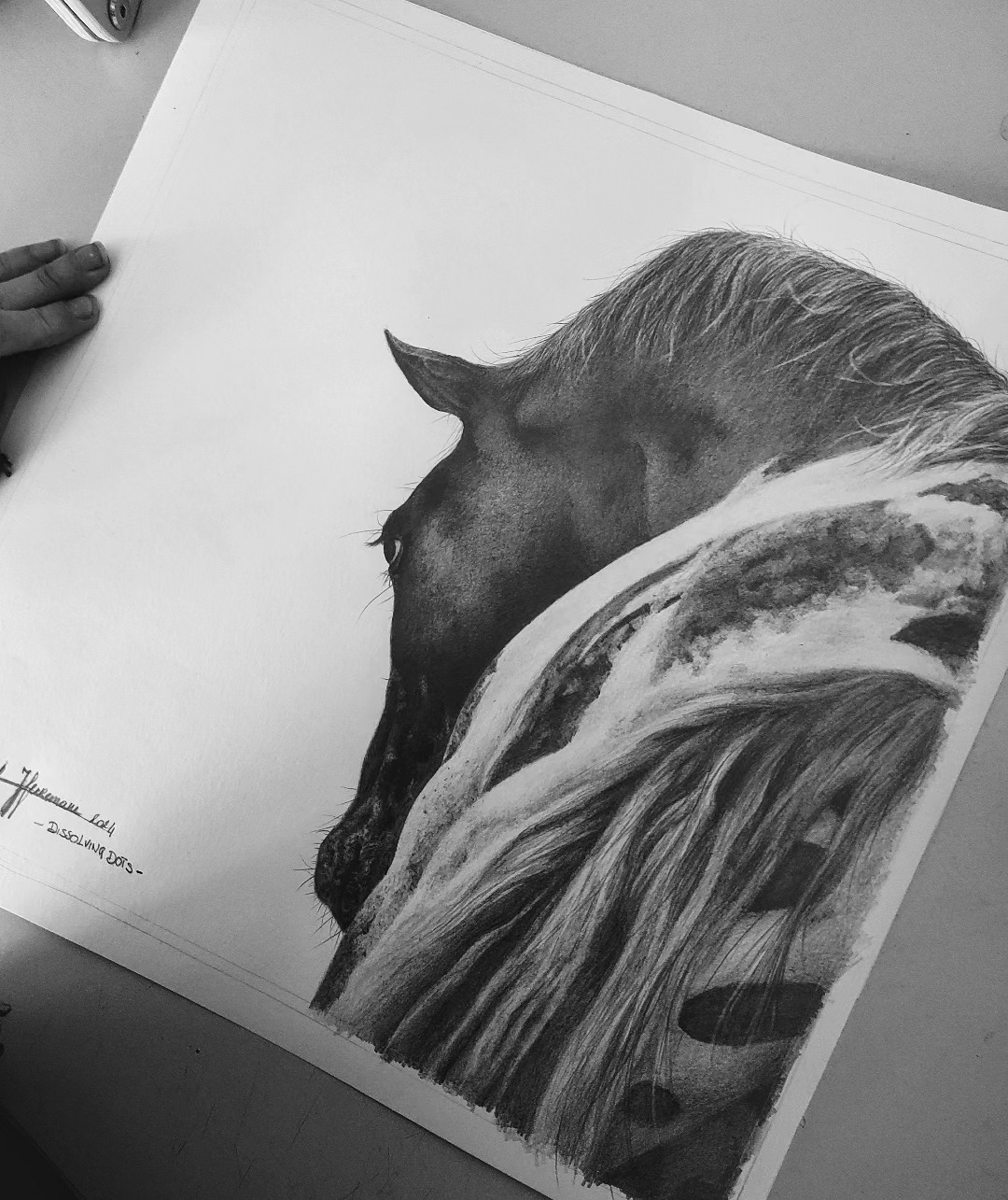 Helemaal verliefd op deze prachtige appaloosa vacht van de knappe Appie van @dots.of_love 🖤🤍
Ik denk eraan om deze beschikbaar te maken als limited edition - print. Wat denken jullie: goed idee?
#atelierbyerica #horseportrait #pencildrawing #graphitedrawing #art