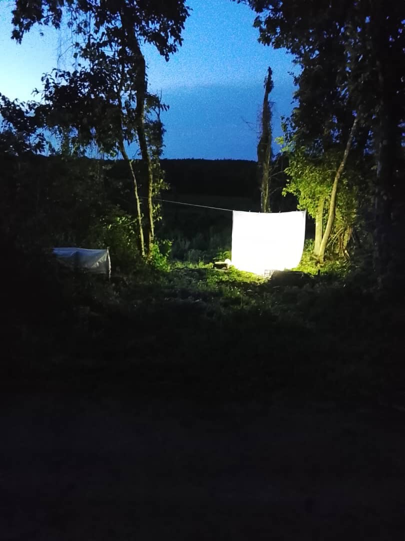 This January Vasco and Jurgen spent a week up with @luwawa_forest_lodge gathering data on the moths of Viphya Plateau.
Check out the finds including their first Lappet Moth in Malawi.
#moth #malawi #landlake