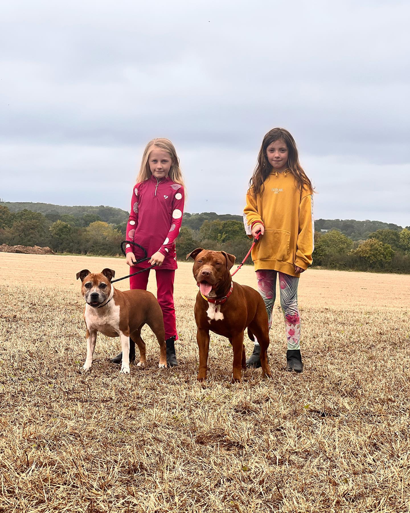 Enjoying a morning walk 😍
#daughters #horselinx #futurebosses #showjumping #dressage #countryside #sunday #family #xlbully #englishstaffordshirebullterrier #love #horses #photography #autumn #autumnvibes #dayoff #bigweekahead #ariat #lemieux