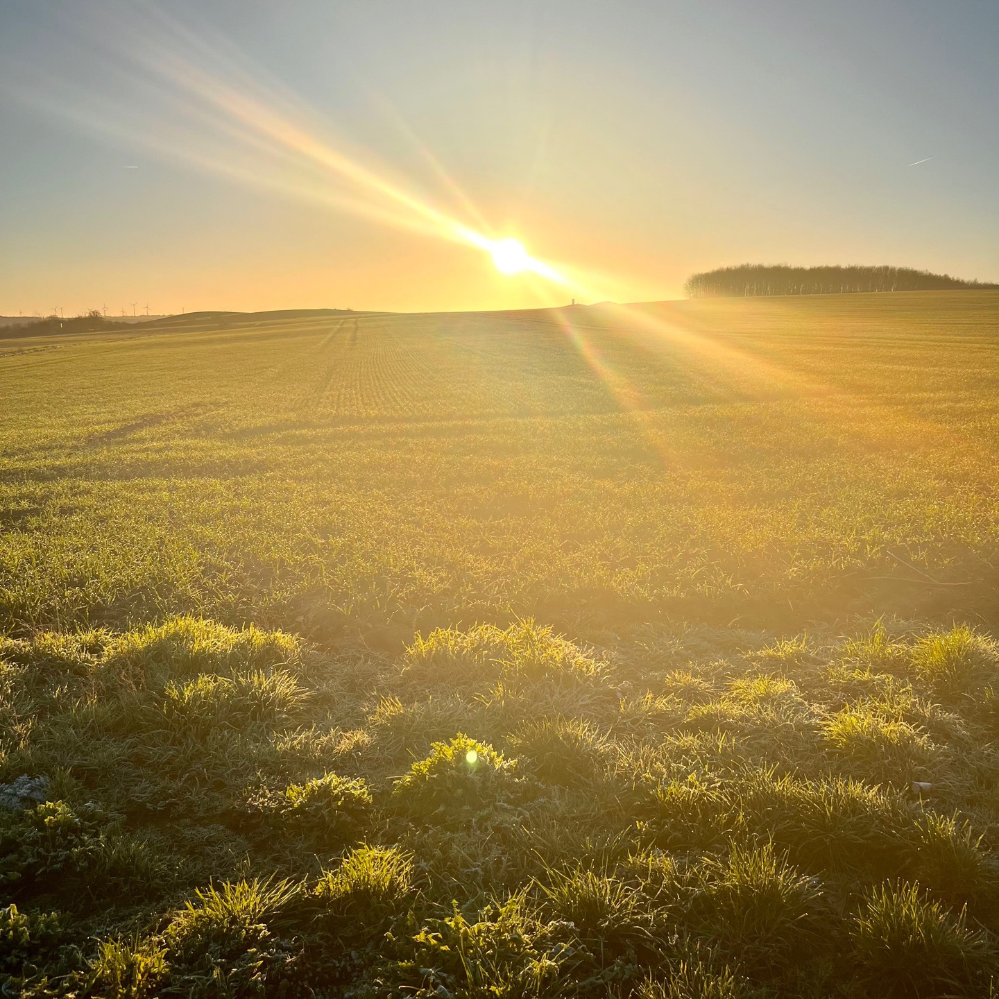 🌅☀️ Guten Morgen, Welt! Der Himmel erwacht über unserem Landgut Berghaus. ☀️🌅
Wenn die Sonne langsam ihren Weg über den Horizont bahnt und den Himmel in ein atemberaubendes Farbspektakel taucht, spüren wir die Magie der Morgenstunden. Von unserem Hof aus können wir diesen fesselnden Sonnenaufgang jeden Tag hautnah erleben und es ist einfach episch!