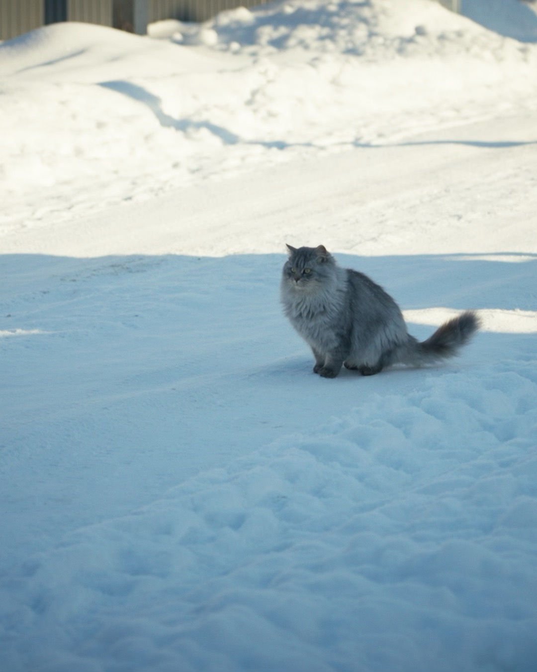 Pēc 27 dienām okupantu gūstā un teju 4 gadiem, kas pavadīti garāžās vai šķūnīšos, ģimenes var atgriezties savās mājās 🇺🇦 🇺🇦
Esam noslēguši būvdarbus piecām privātmājām Jahidnes ciemā, ļaujot ģimenēm atgriezties zem viena jumta un siltumā 🫶 🫶
Projekts īstenots par Latvijas Republikas valsts budžeta līdzekļiem ar @arlietuministrija un Centrālā finanšu un līgumu aģentūra atbalstu.
#LATDEV #AtbalstuUkrainu #attistibassaаarbiba