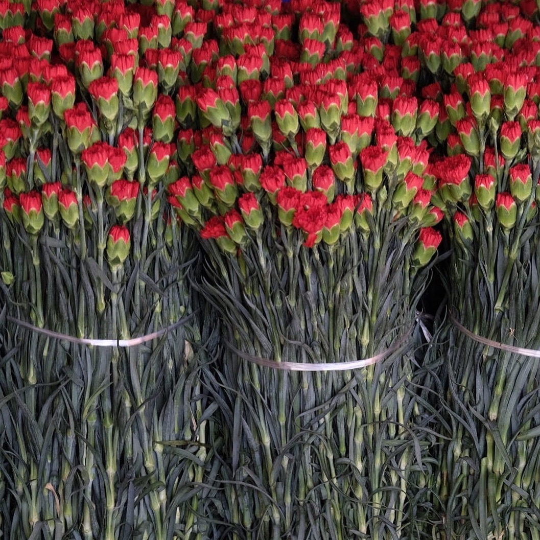 Directly at the exhibition in China
Our standard collection