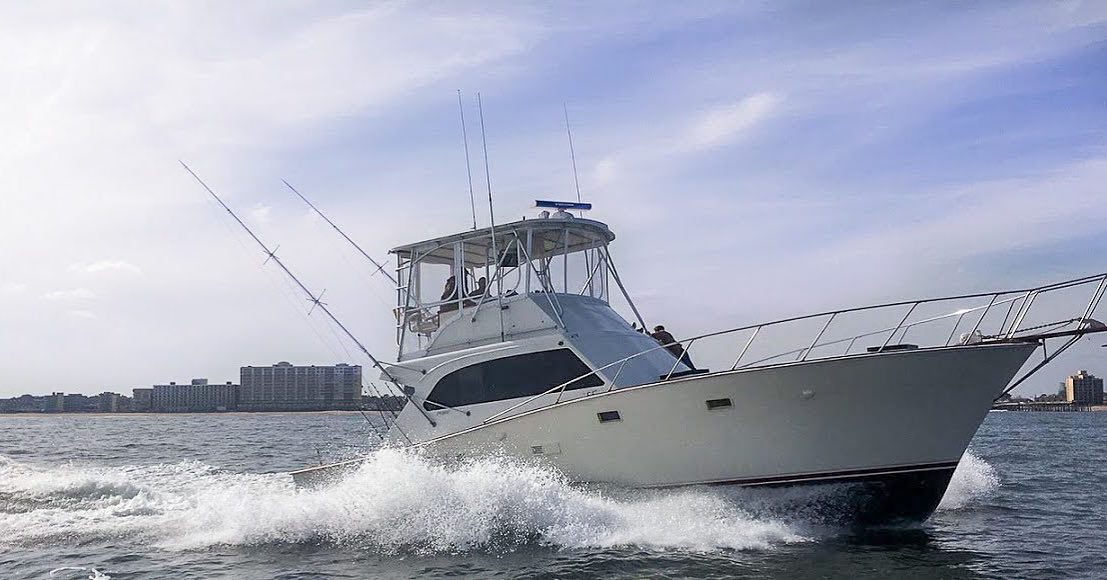 Welcome to Havoc Charters! Thank you for being here and giving our page a "follow”. If it’s screaming reels, full coolers, or beautiful views that you want, then you’ve come to the right place! Our crew welcomes all anglers of any age and ability, and we take pride in being able to give everyone an unforgettable adventure they won’t regret.
We are currently booking fishing trips and cruises for the upcoming Spring and Summer seasons. Give us a call (804-658-8139), or find us on Fishing Booker to book your trips!