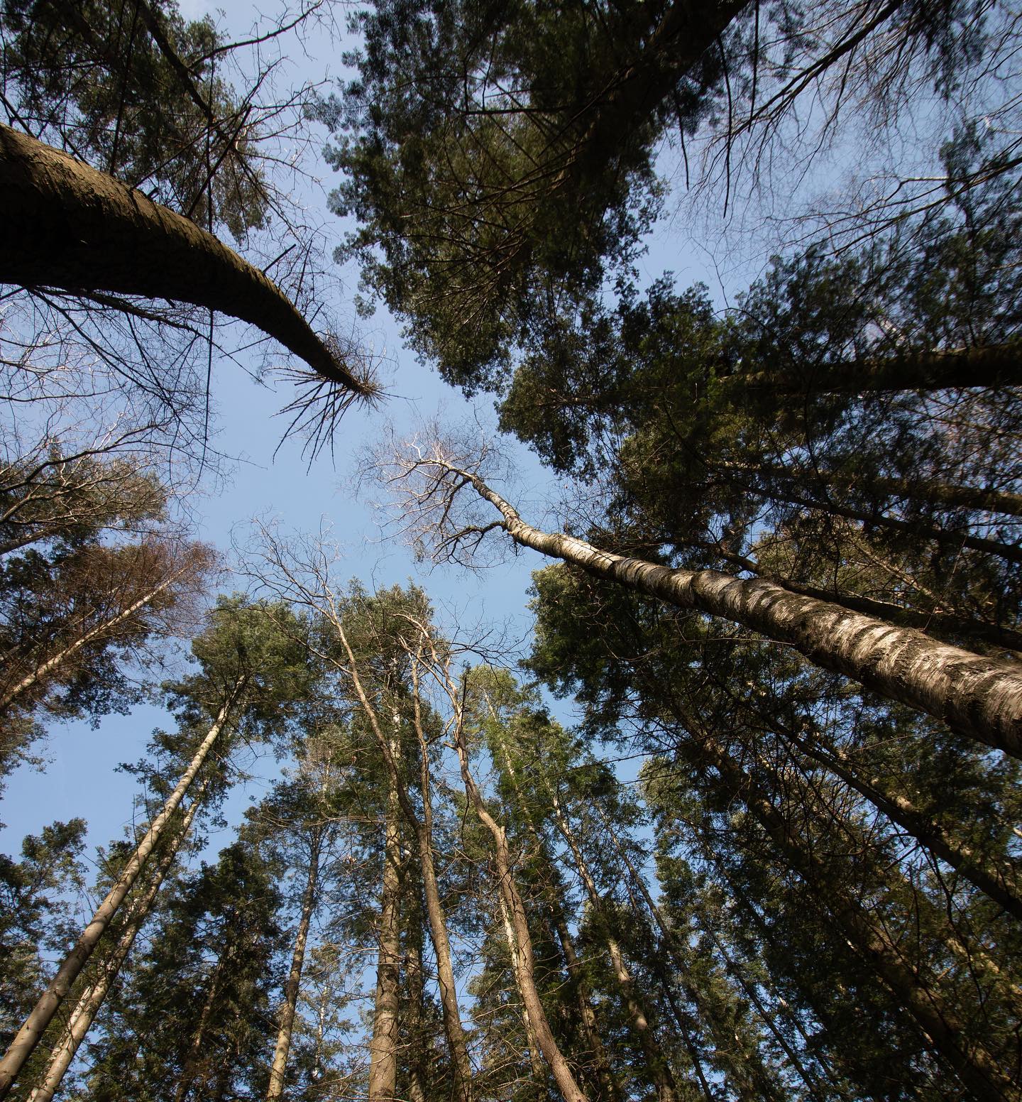 ~ Fang' an die Natur um dich herum zu beachten. Beobachte sie. Jeden Tag wenigstens einen kleinen
Moment.
.
.
.
.
.
#taichi #qigong #healthylifestyle #rausausdemalltag #gesundheit #persönlichkeitsentwicklung #inspiration #lebenimjetzt #lebensfreude #achtsamkeit #entspannung #achtsamleben #sportzuhause #ausgleich #auszeit #auszeitvomalltag #innerebalance #durchatmen #ausgeglichenheit #taichideutschland #qigongdeutschland #taichiqigong #gesünderleben #gesunderlebensstil #positivevibes #stressbewältigung #selbstliebe #körperbewusstsein