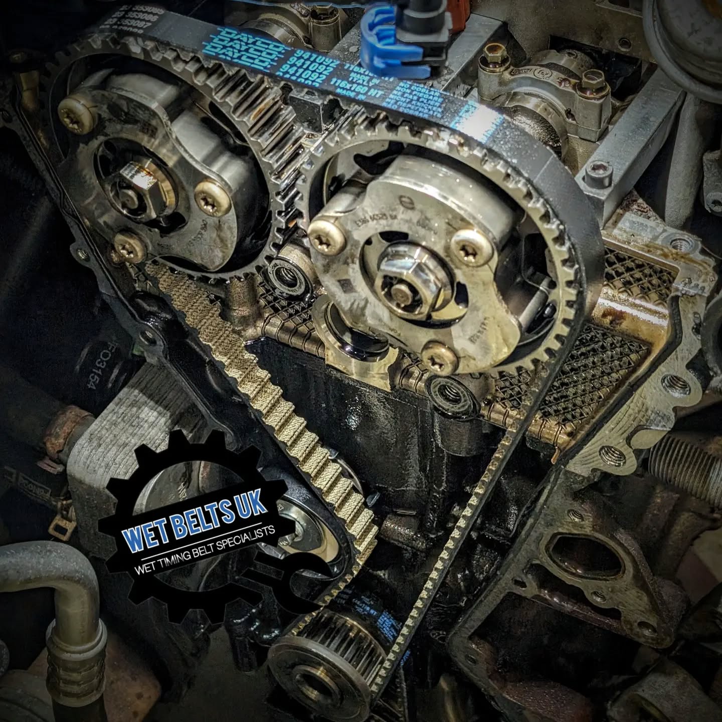 Fiesta EcoBoost, New Wet Timing Belt.
#wetbelt #wetbeltsuk #ecoboost #ecoboom
