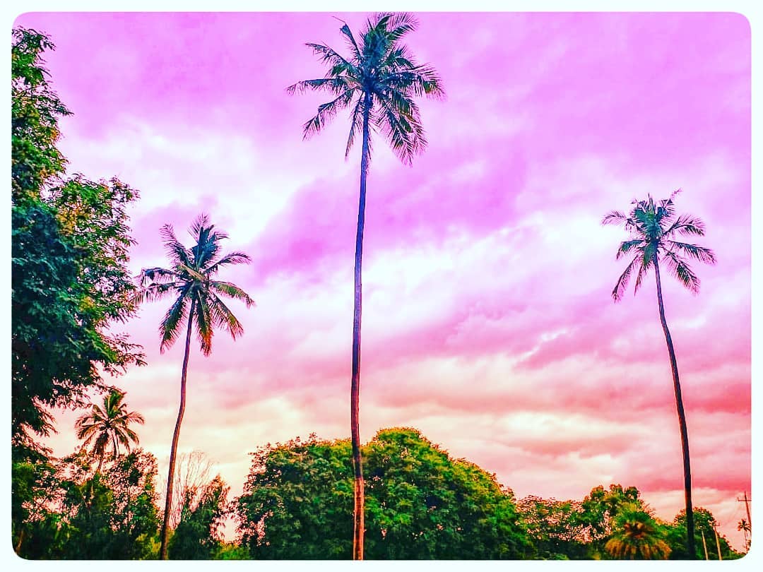 #sky #instagramanet #cloudchasing #skyporn #cloudstagram #cloudysky #cloudlovers #cloud_skye #cloudchasers #cloudyday #instaclouds #skyviewers #instacloud #cloudscape #clouds #skywatcher #cloud9 #instatag #clouds_of_our_world #skyline #cloudsporn #cloudlife #skyscraper #cloudy #cloudporn #cloudnine #cloudchaser #cloud #skylovers