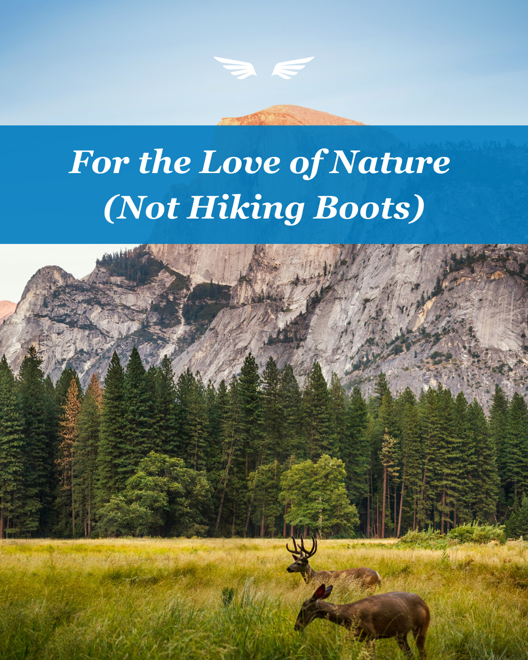 Luxury meets the great outdoors 🌿✨ From serene lakes to epic fjords, these destinations let clients experience nature beautifully—without ever leaving comfort behind.
1. Banff & Lake Louise, Canada: This is an easy win for clients who want dramatic scenery paired with comfort, luxury lodging, and straightforward logistics.
2. Lake Bled, Slovenia: A lesser-known European destination that feels special, photographs beautifully, and works well as an add-on to nearby countries.
3. Iceland (Without the Hikes): Ideal for clients who want “bucket list” nature with excellent infrastructure and minimal physical demands.
4. Lake Como, Italy (Beyond the Villas): Perfect for luxury, romance, and slow travel clients who want nature as a backdrop—not an activity.
5. Fiordland & Milford Sound, New Zealand: A high-impact, low-effort destination that feels once-in-a-lifetime without being physically demanding.
🔗 in bio to read more!
#travel #travelblog #nature #banff #fiordland