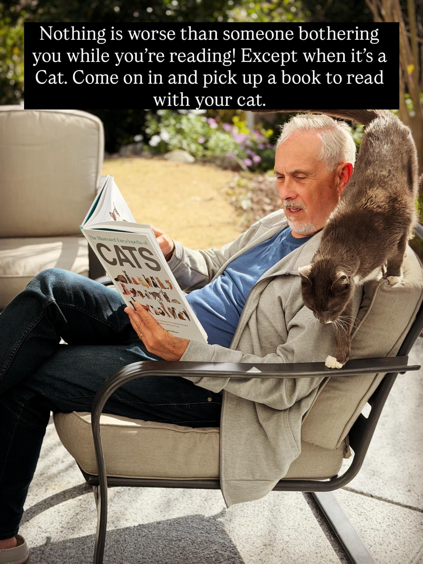 #friendsofthecamarillolibrary #cats #read #donate #camarillo